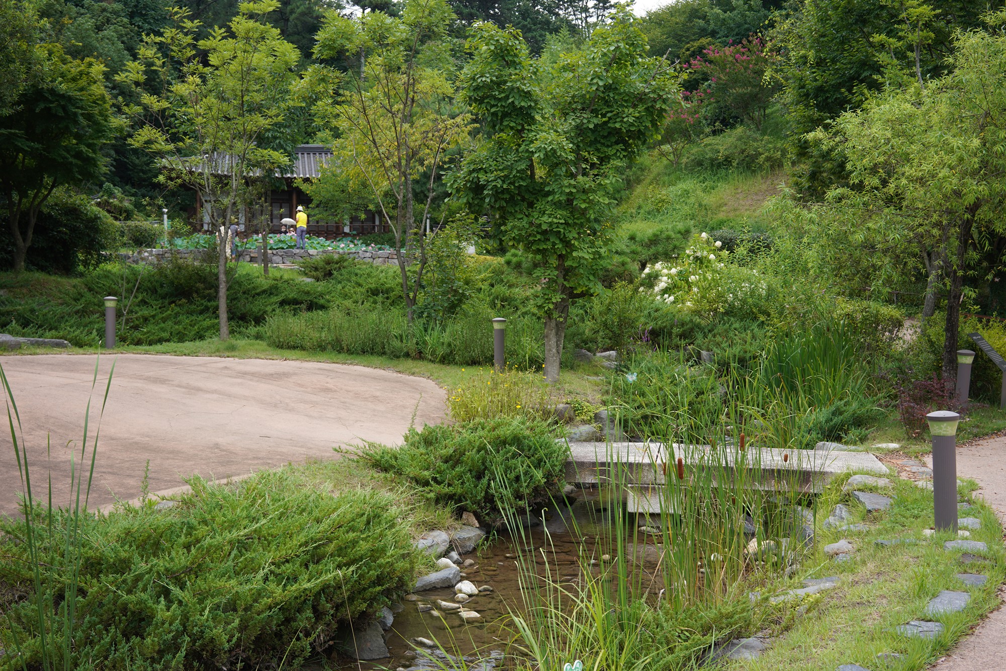 Suncheonman Bay Wetland (39)