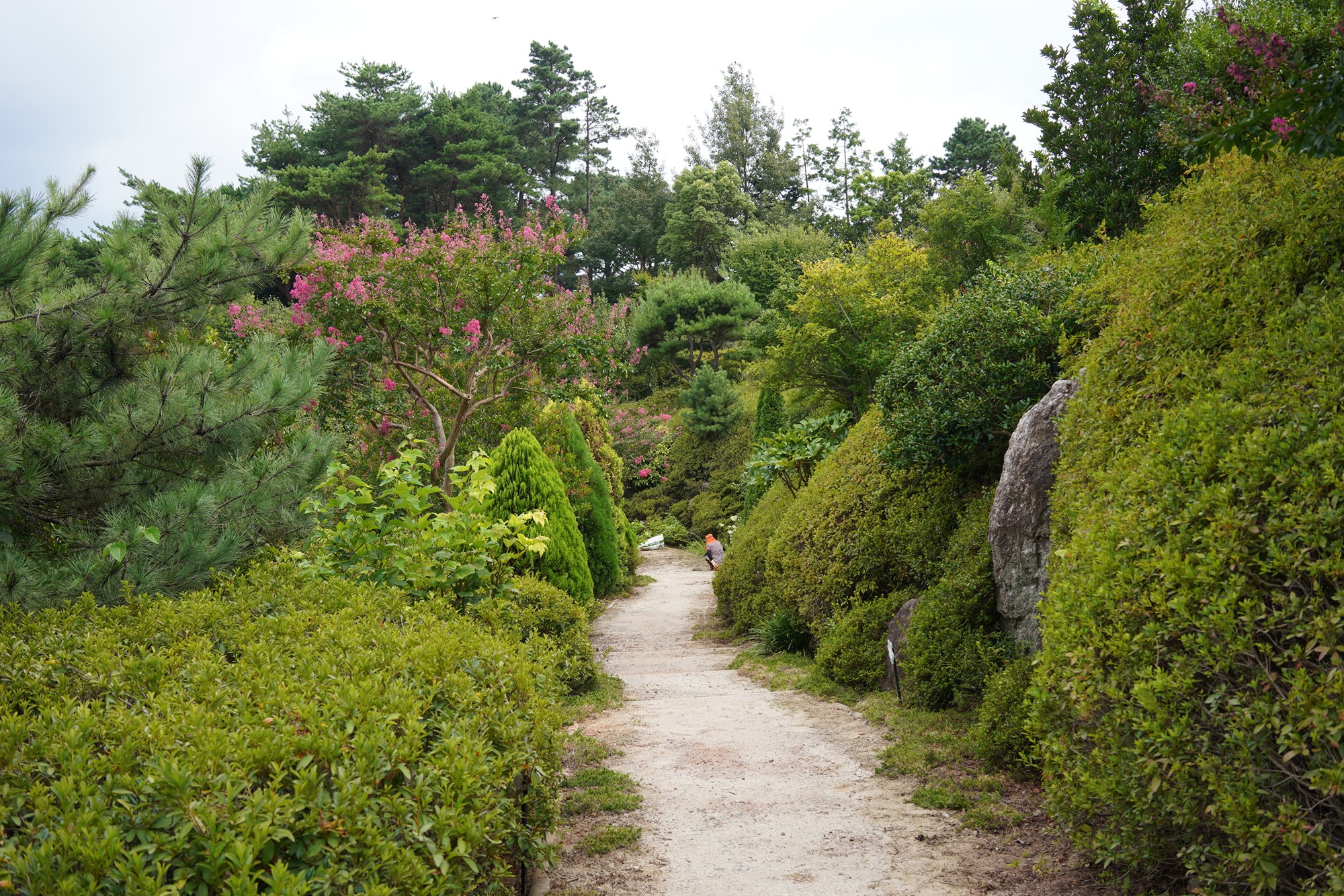 Suncheonman Bay Wetland (42)