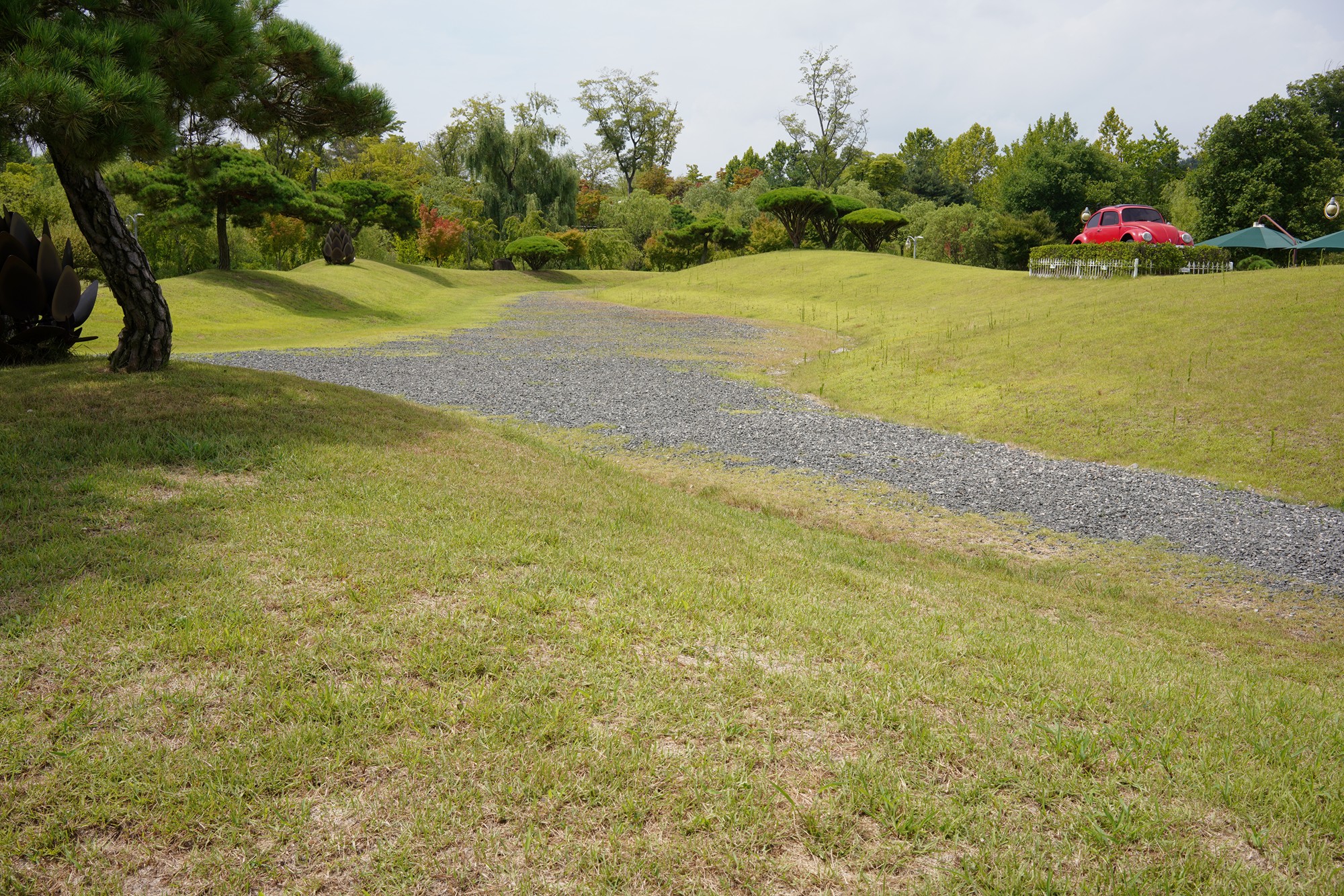 Suncheonman Bay Wetland (6)