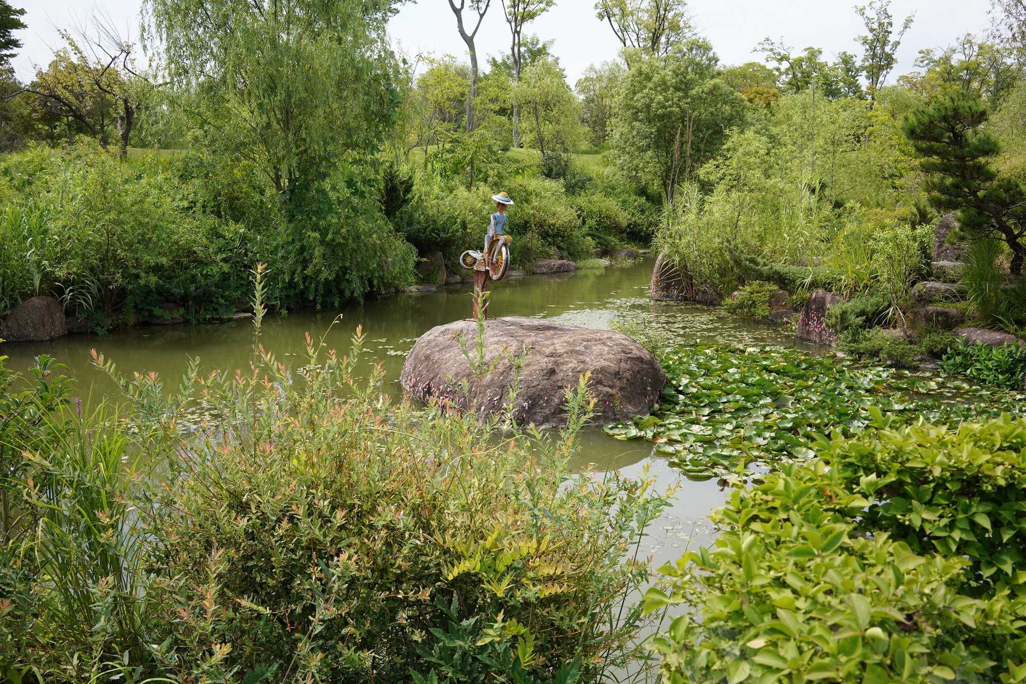 Suncheonman Bay Wetland (7)