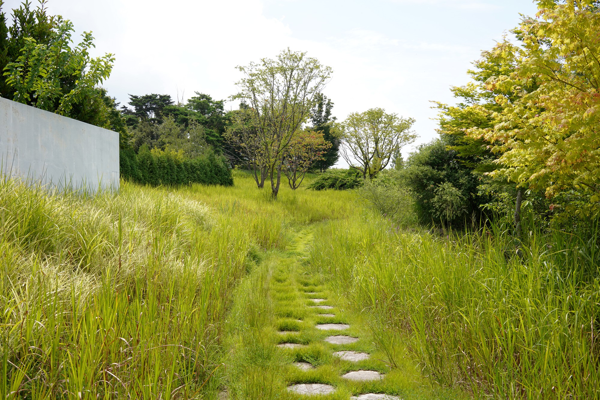 Suncheonman Bay Wetland (8)