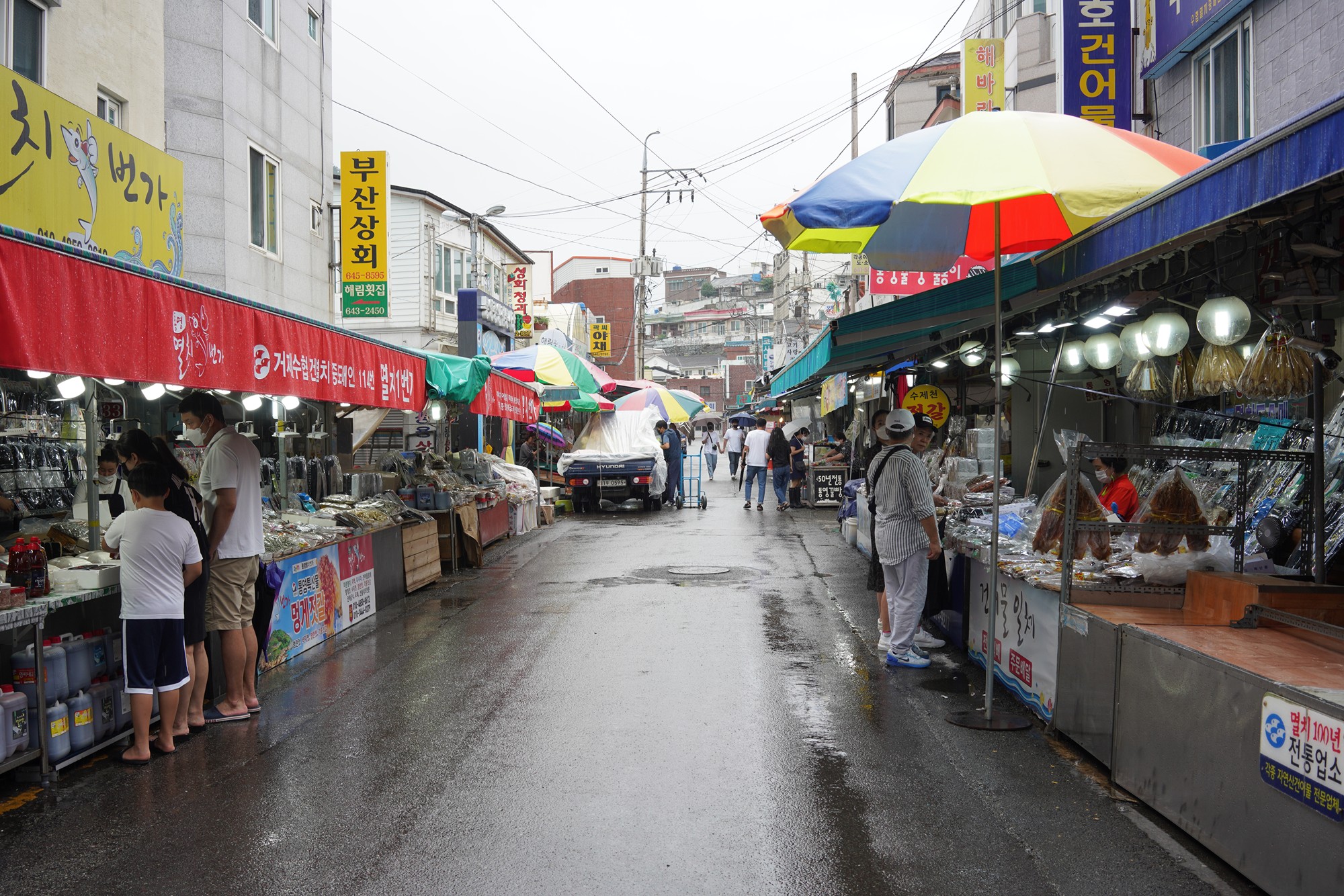 Tongyoung 1 (14)