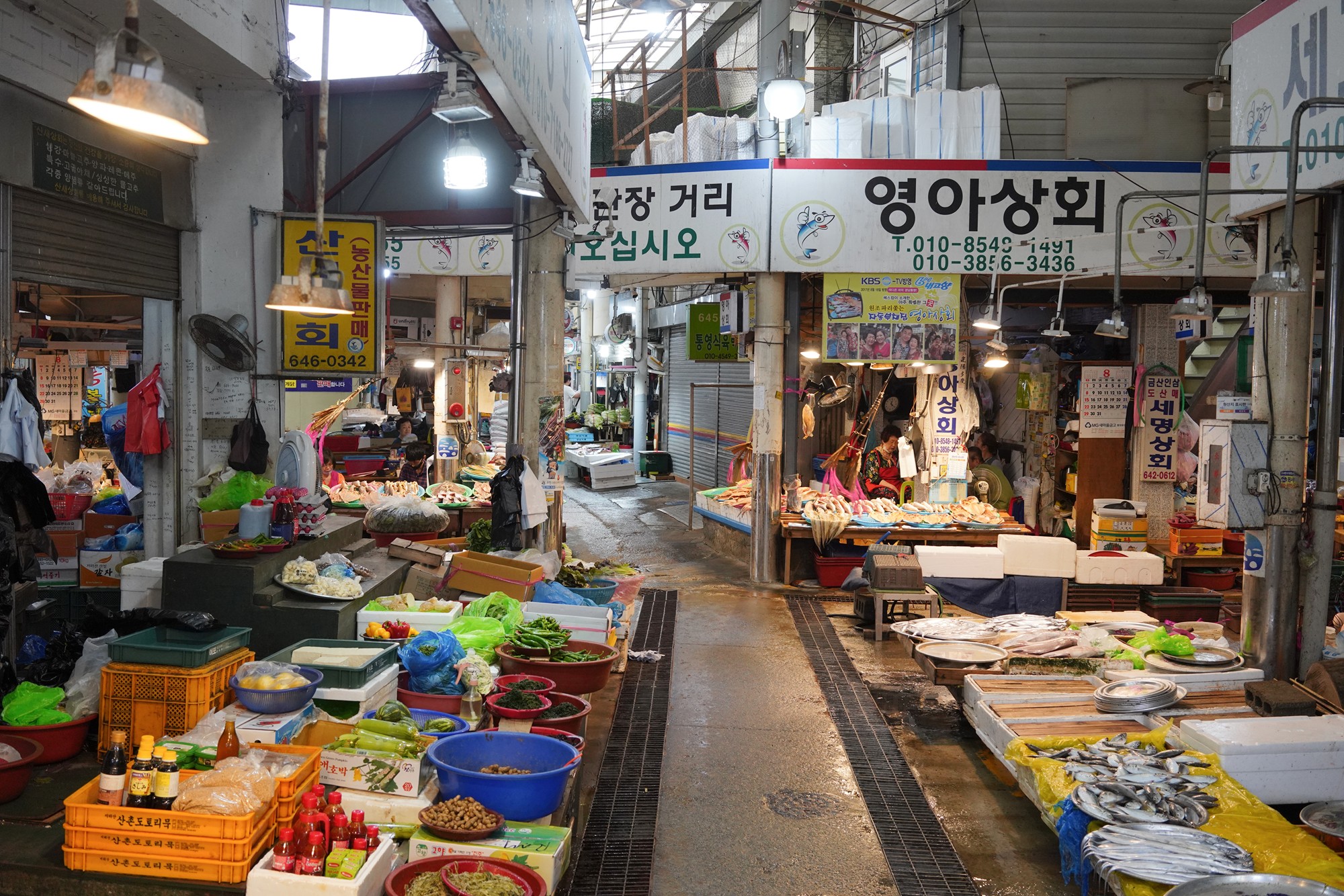 Tongyoung 1 (16)