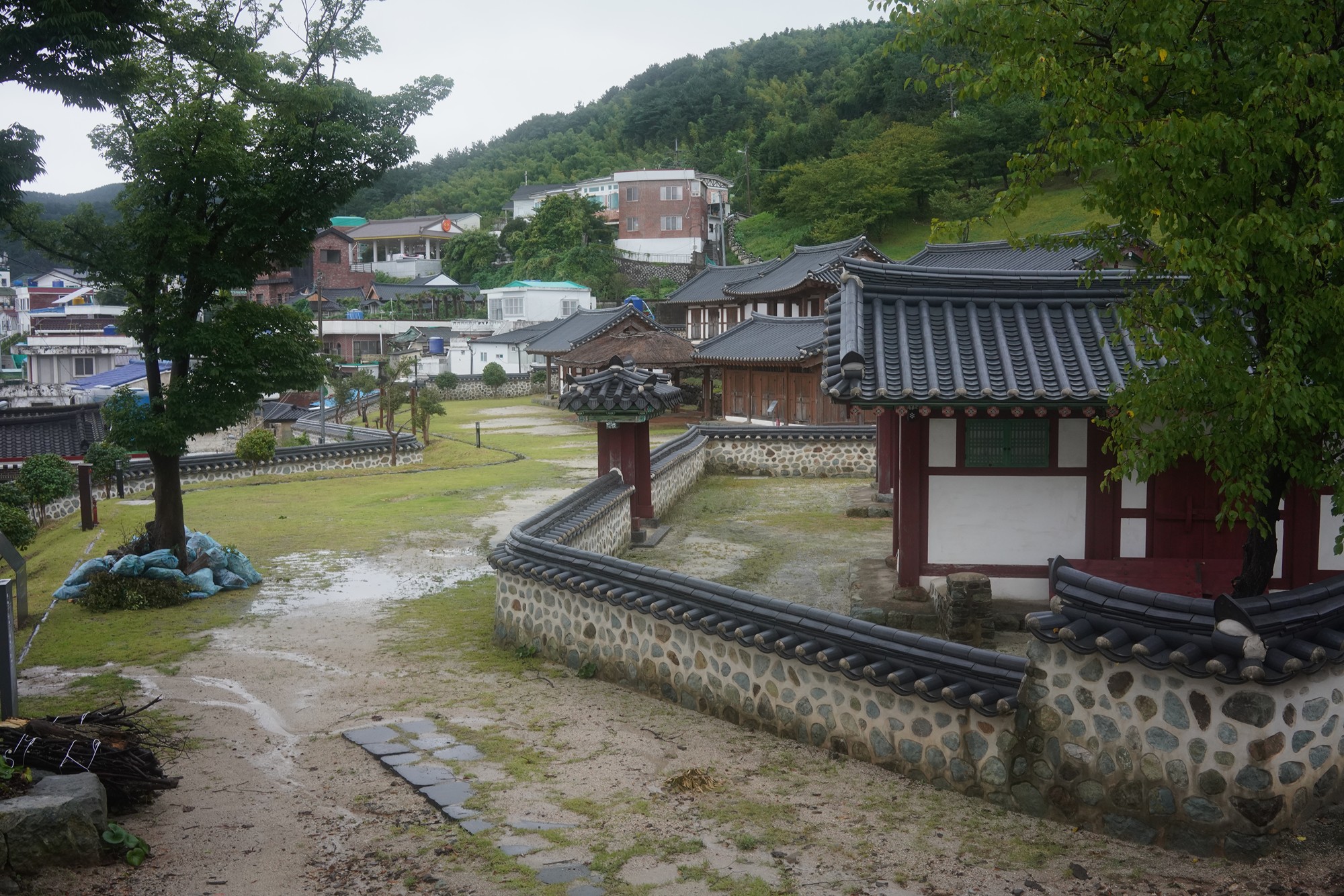 Tongyoung 1 (37)