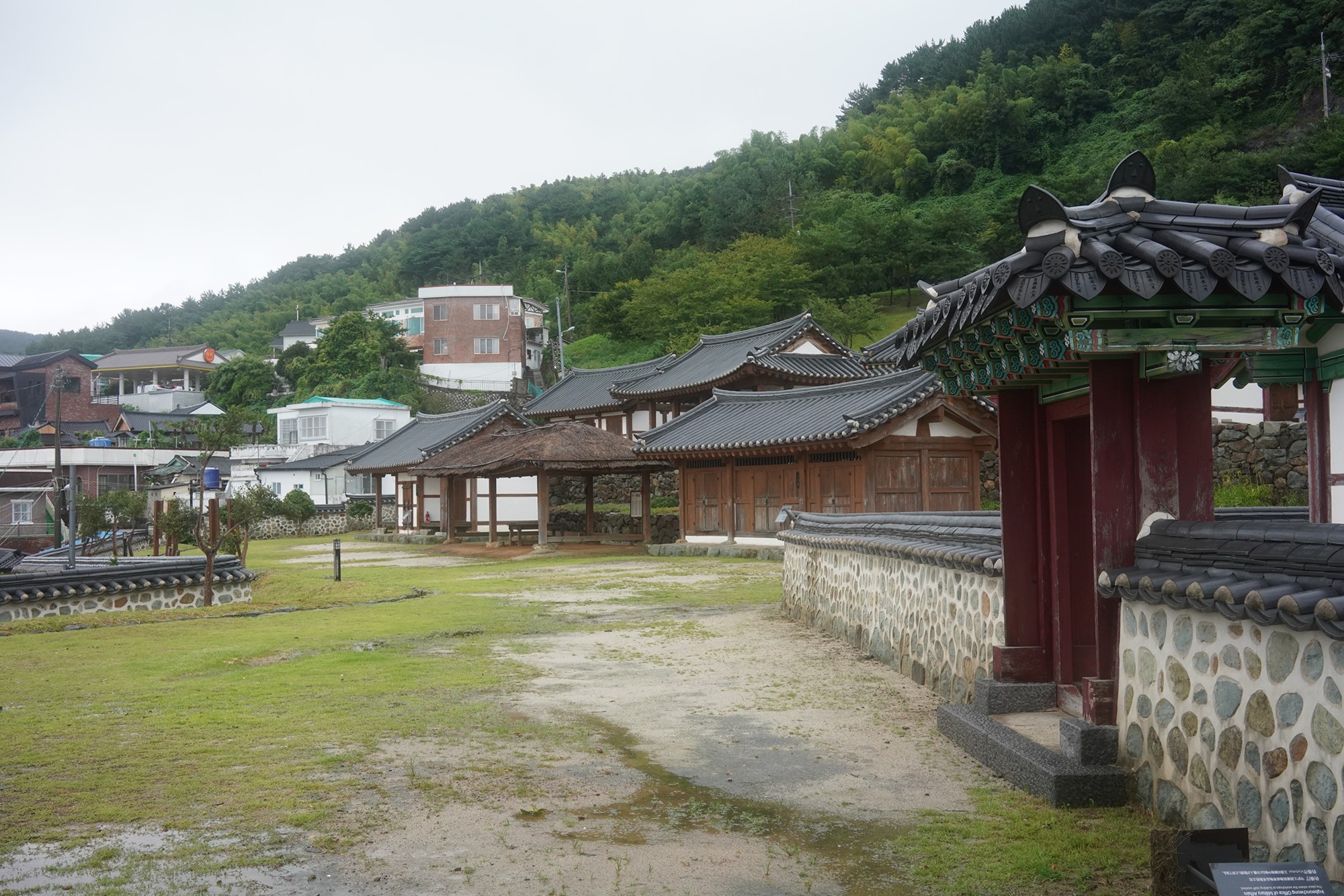 Tongyoung 1 (38)