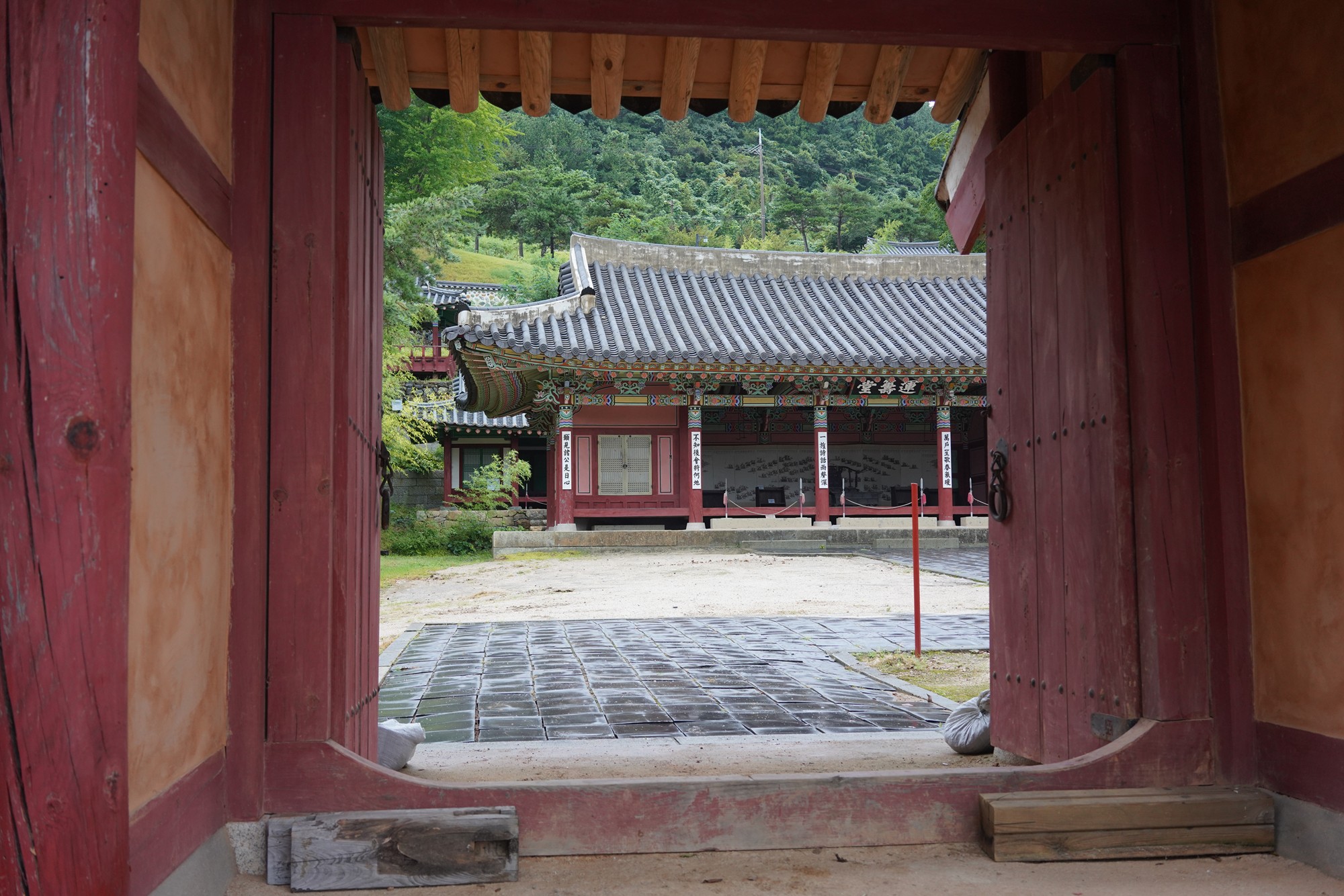 Tongyoung 1 (49)