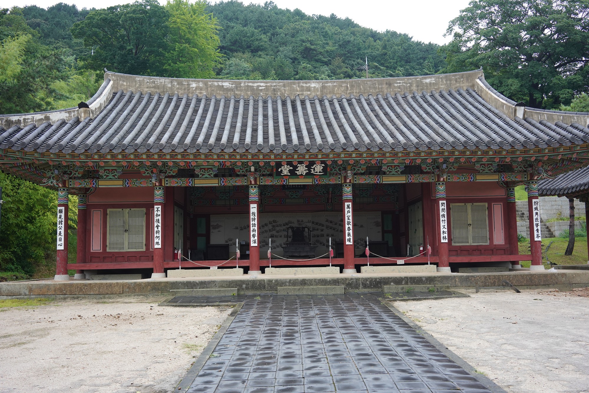 Tongyoung 1 (50)
