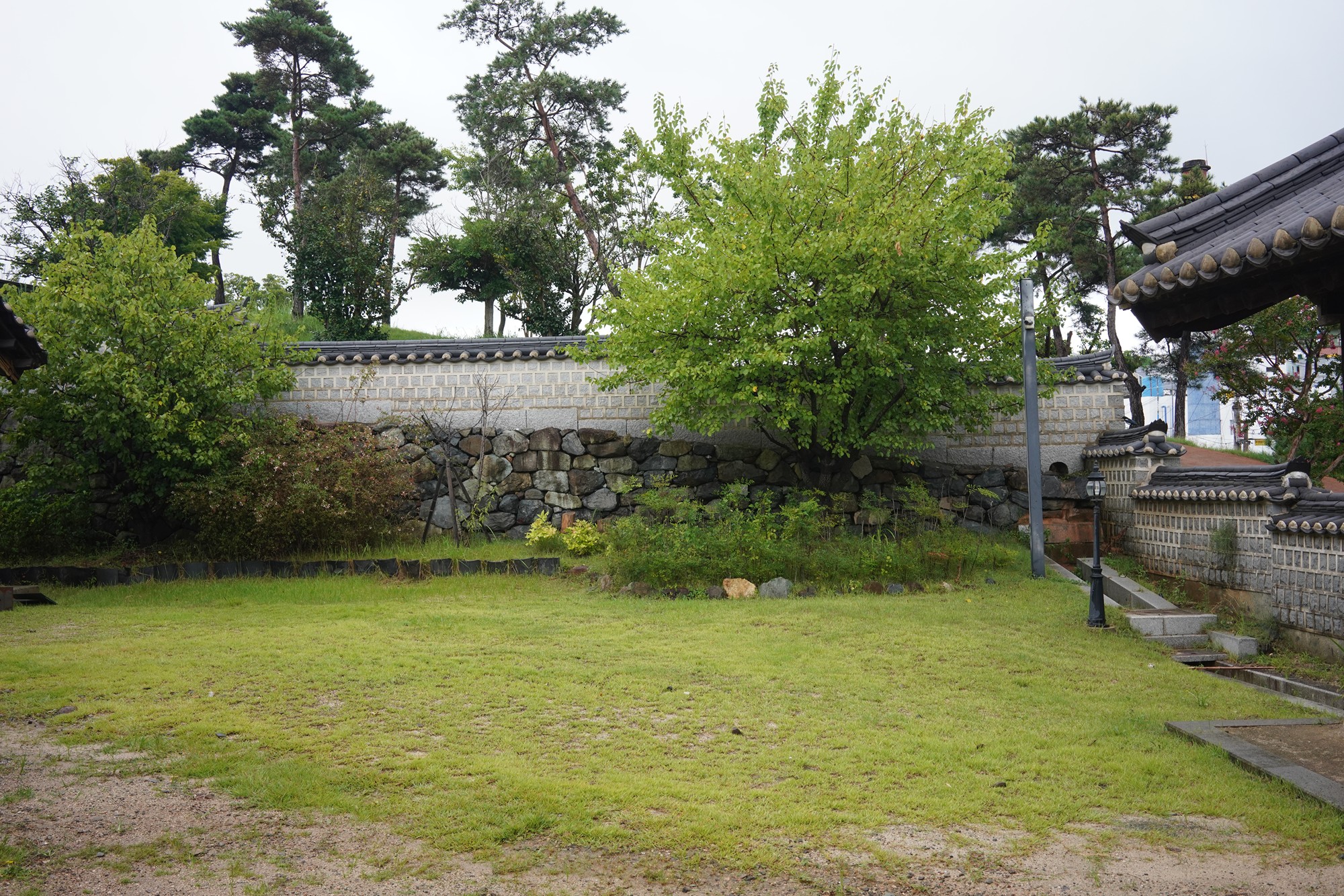 Tongyoung 1 (53)