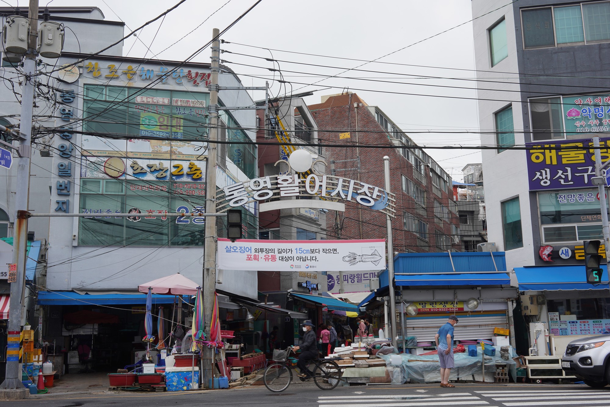 Tongyoung 1 (9)
