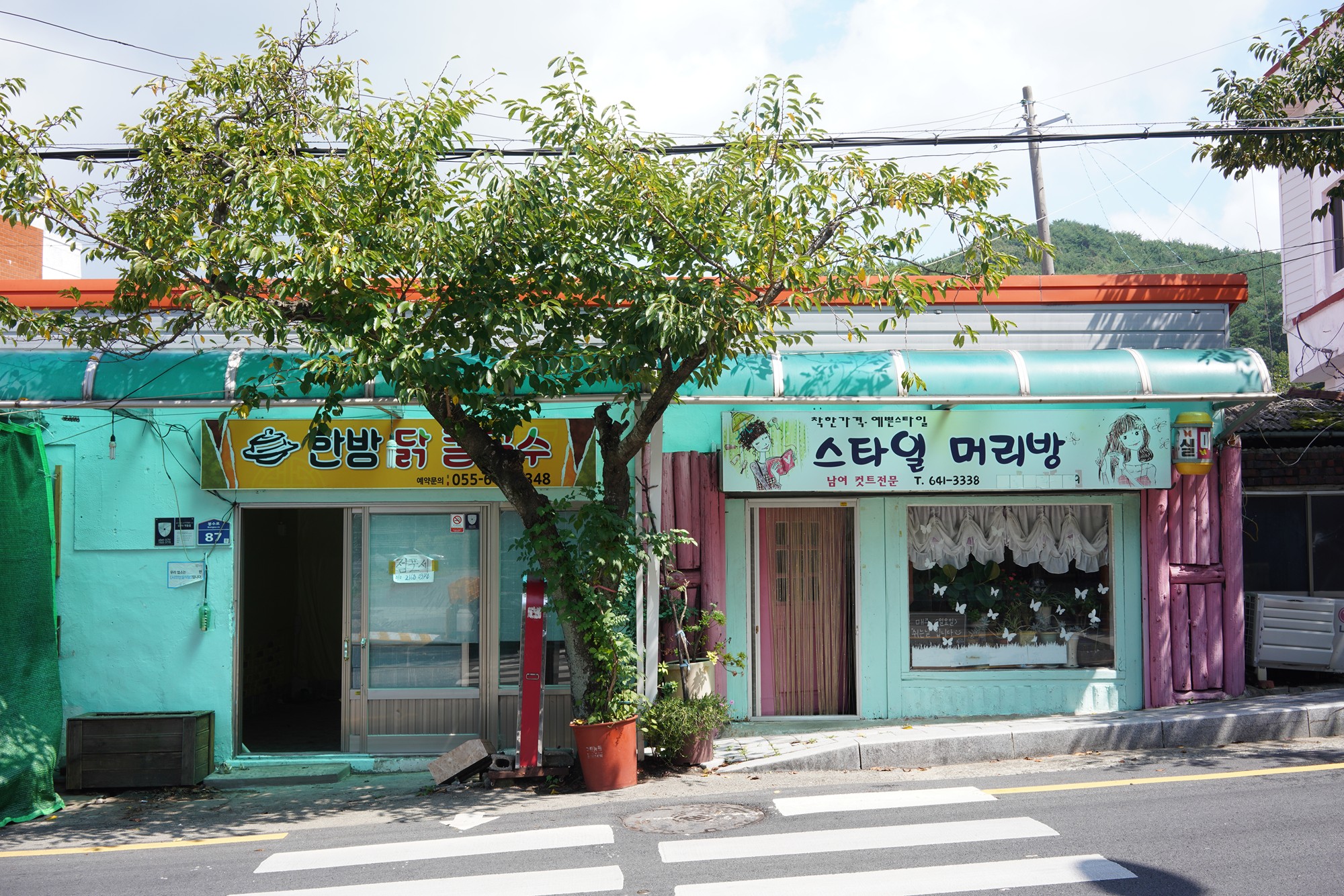 Tongyoung 4 (15)