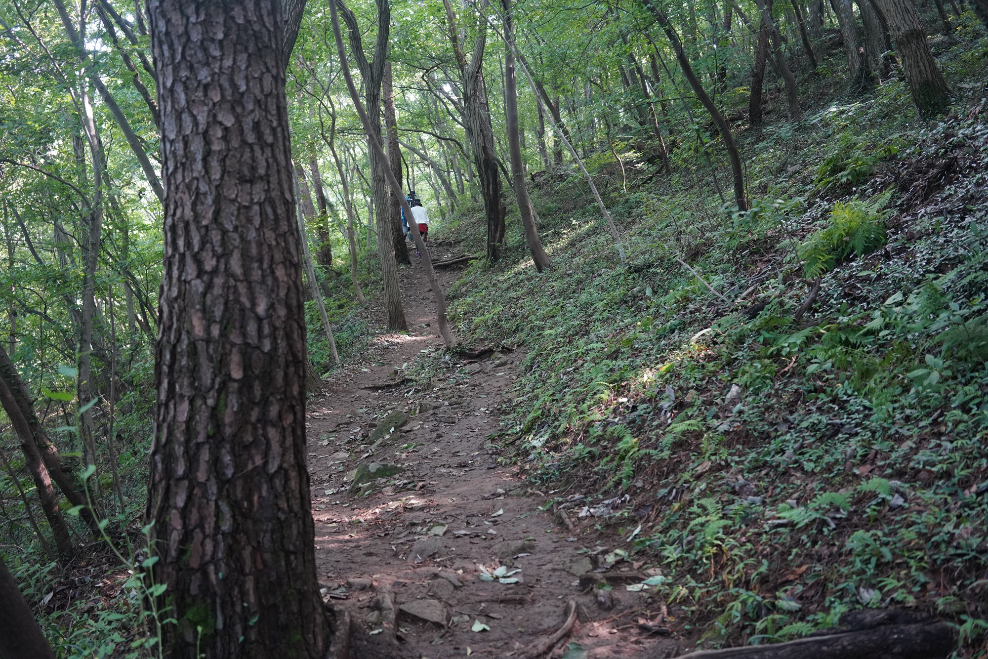 Tongyoung 4 (19)