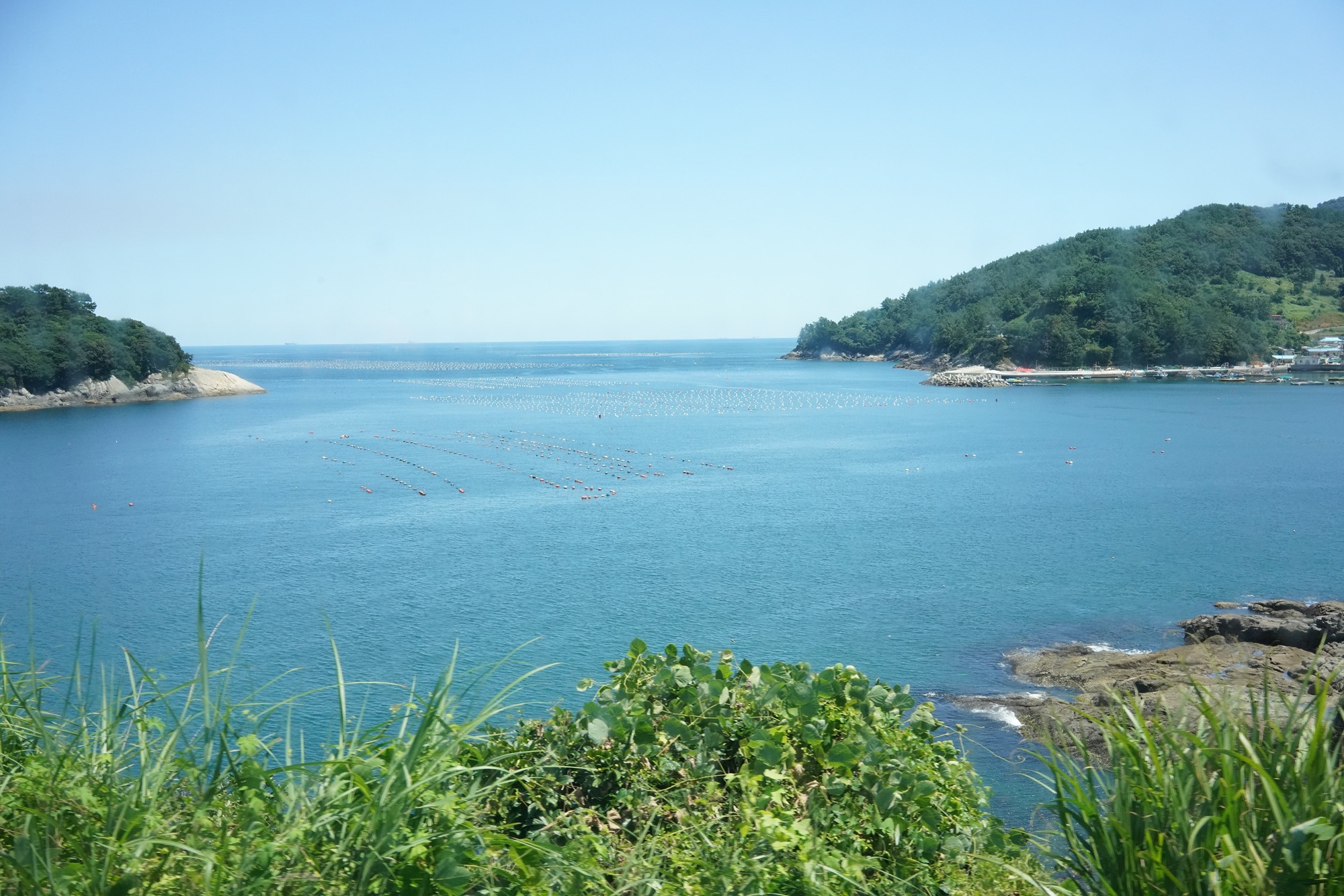 Yeosu 2 (36)
