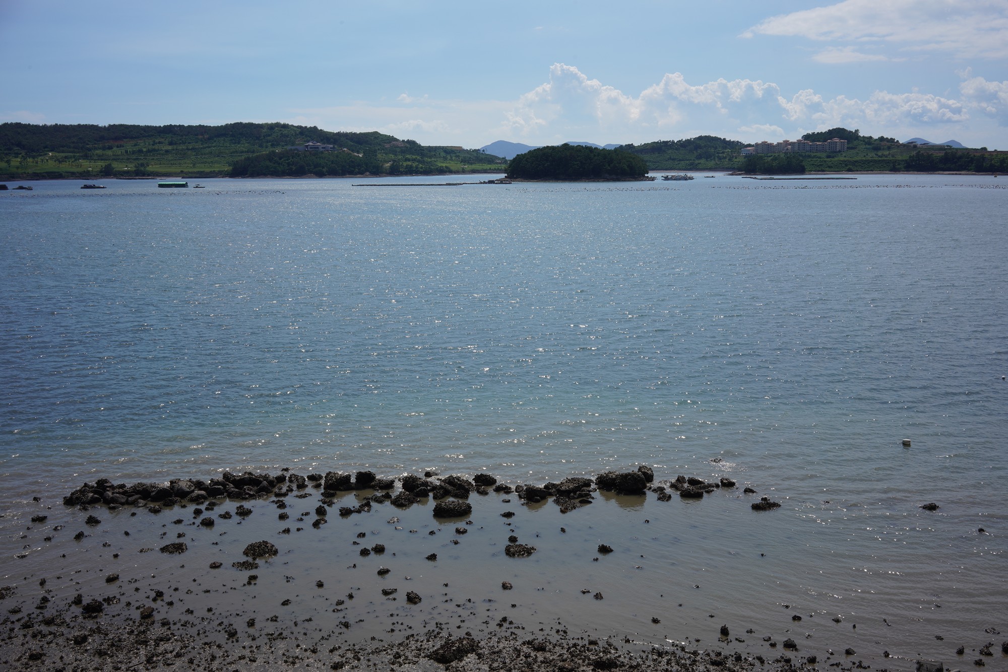 Yeosu 2 (40)
