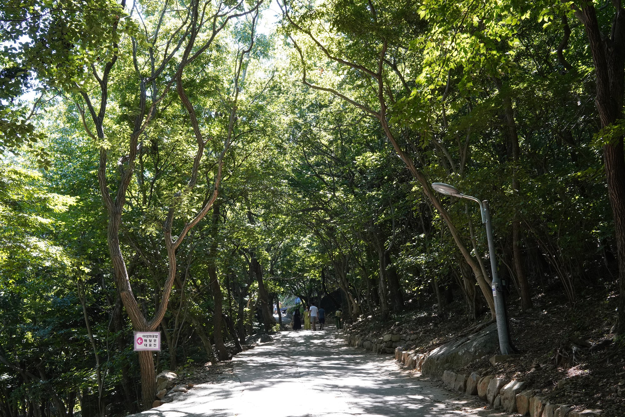 Yeosu 2 (8)
