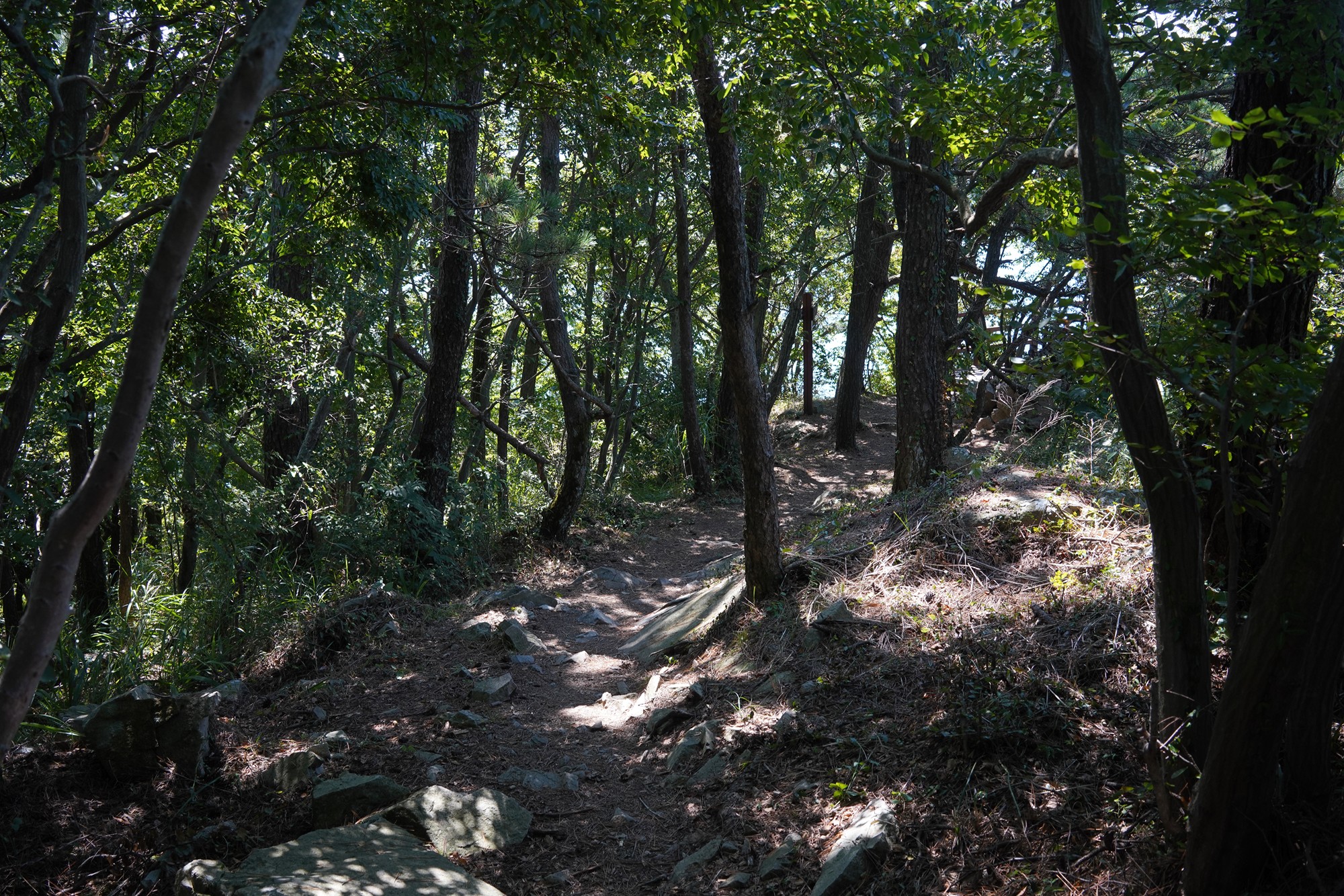 Yeosu 3 (10)