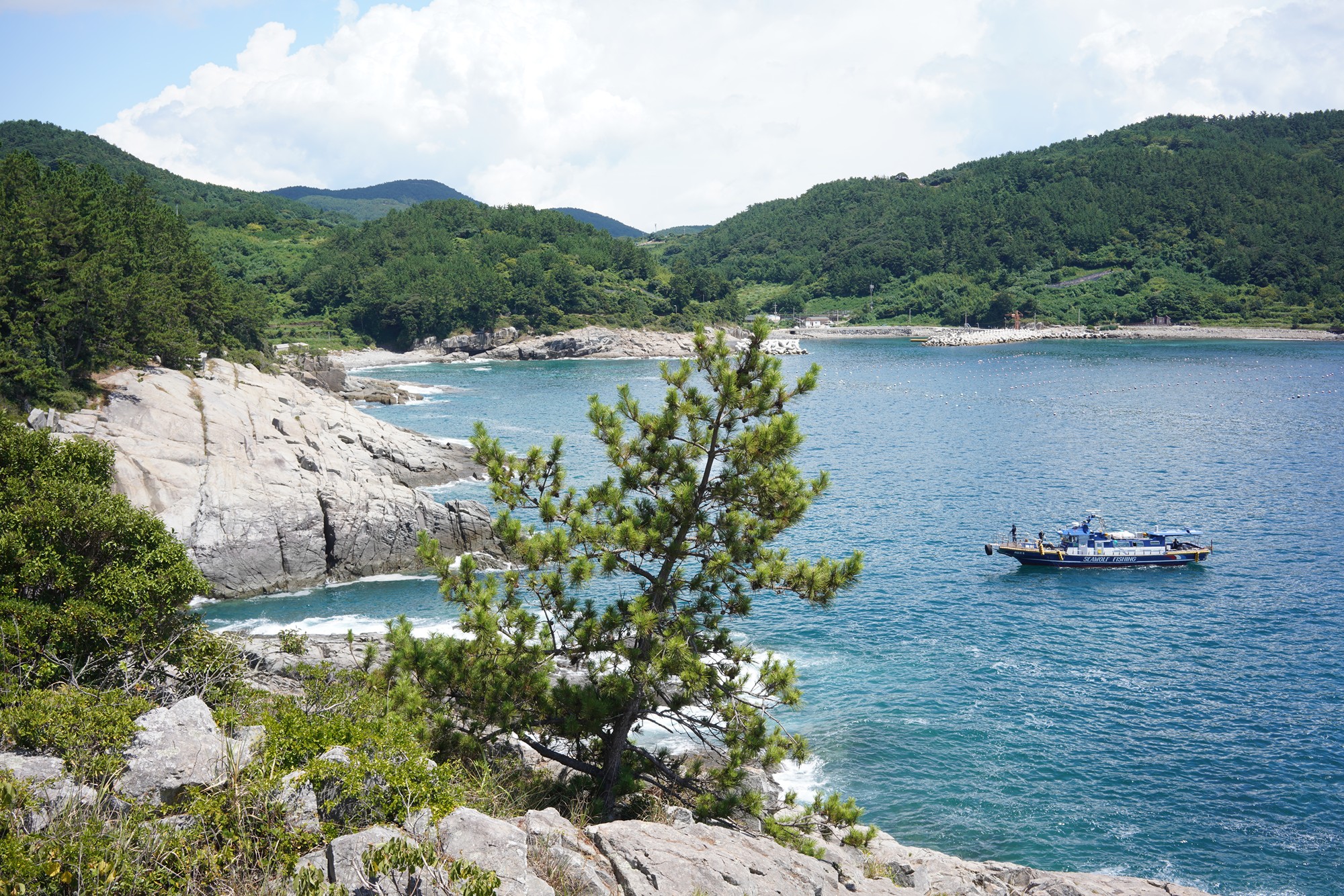 Yeosu 3 (23)