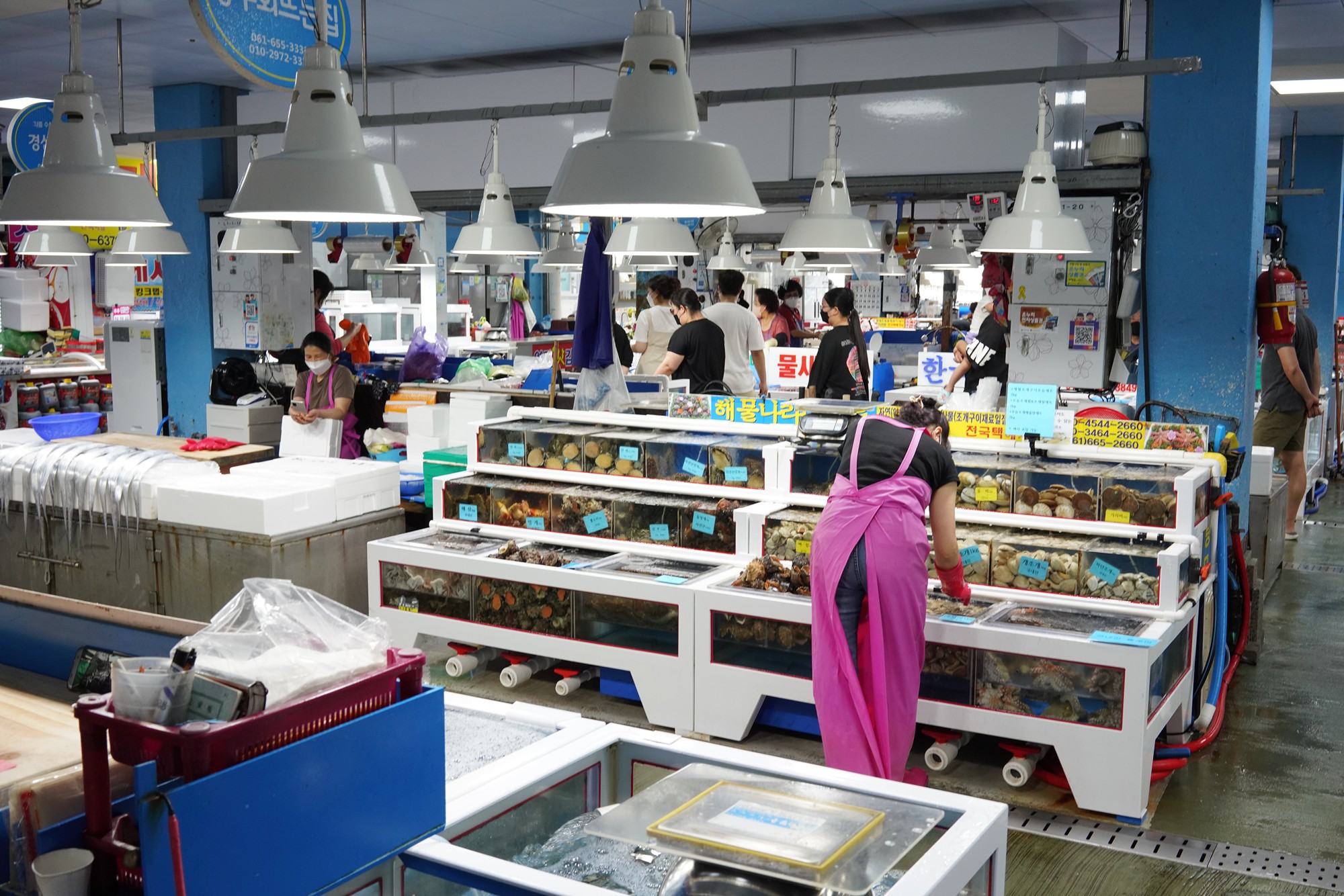 Yeosu 5 (16)