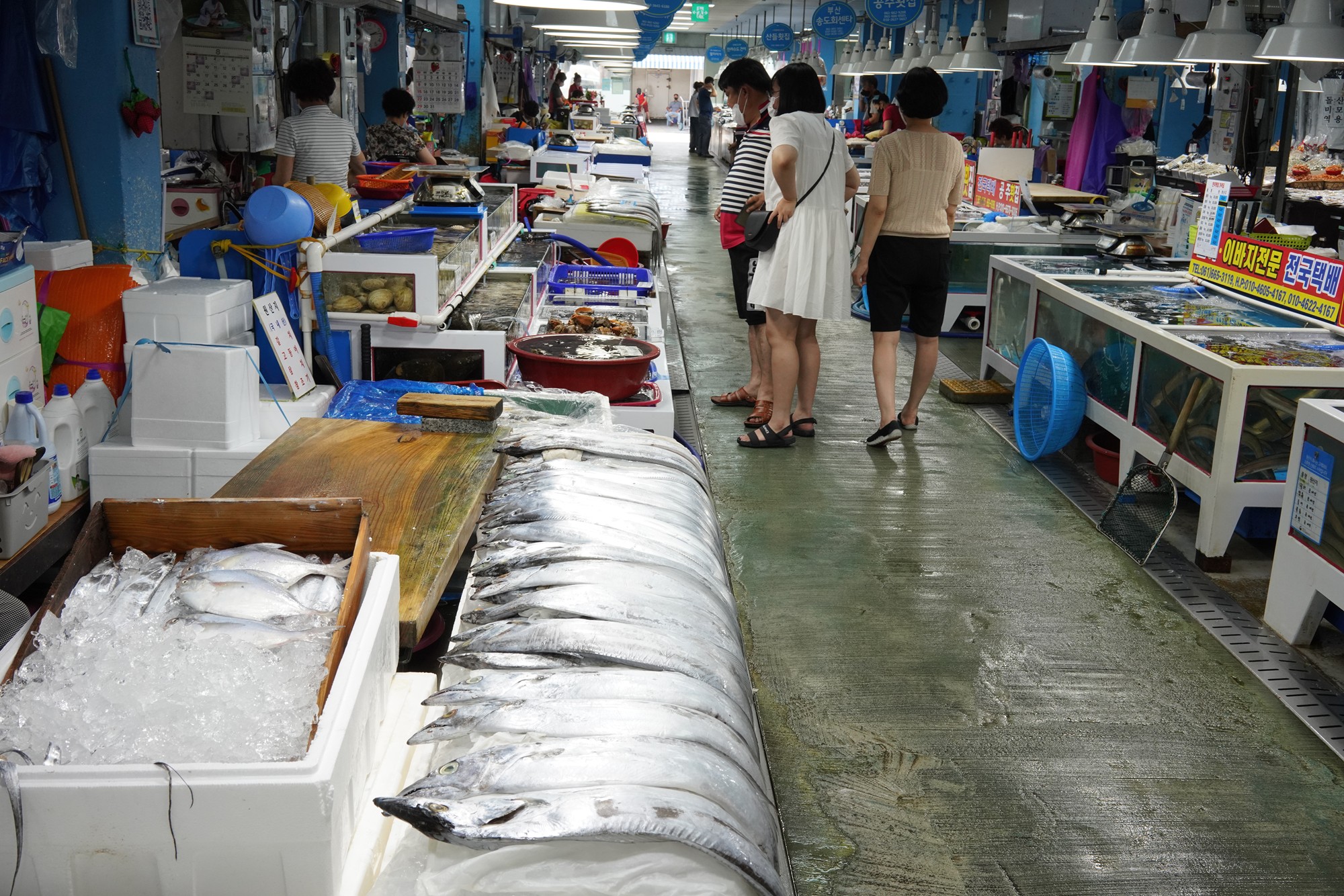 Yeosu 5 (17)