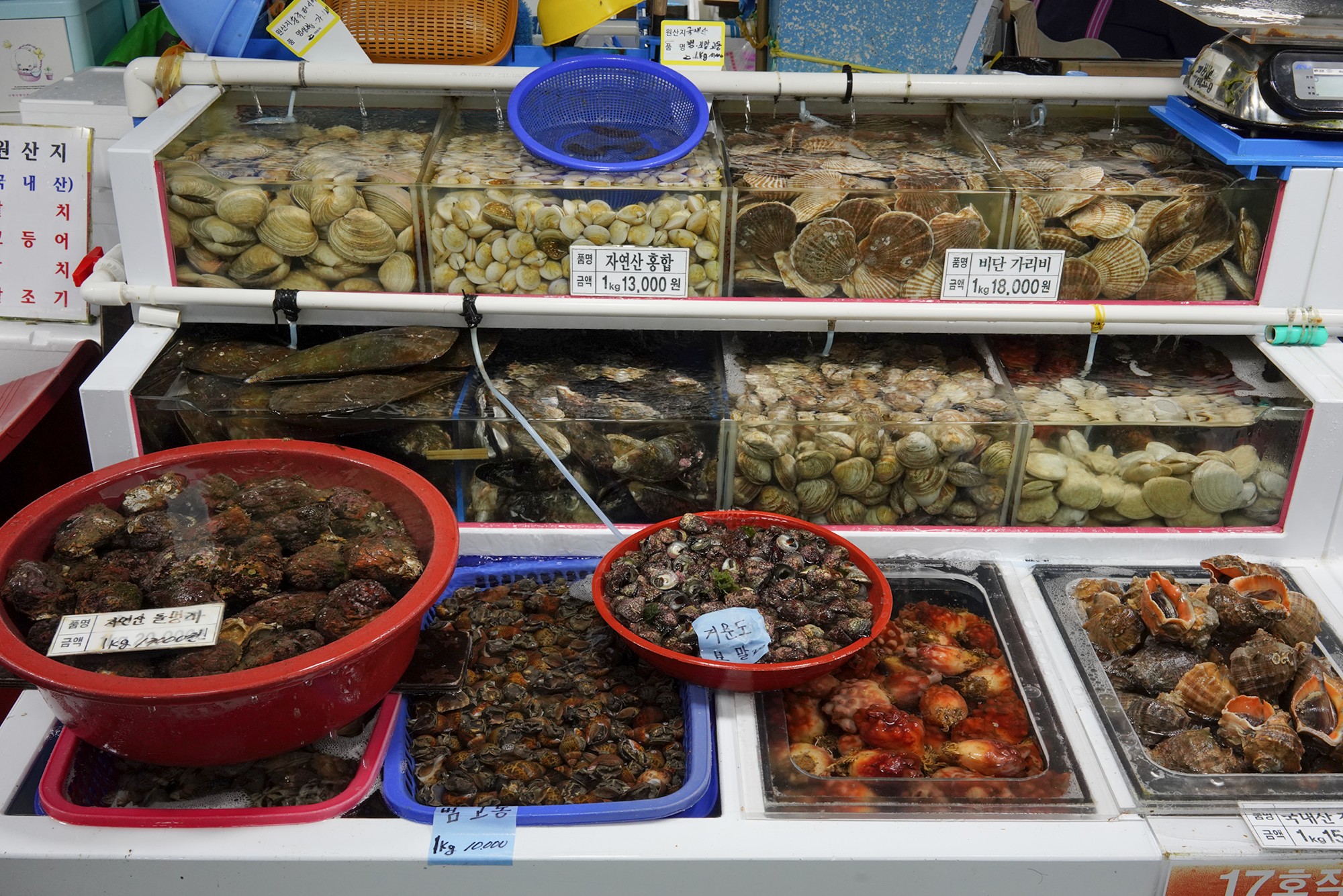Yeosu 5 (18)