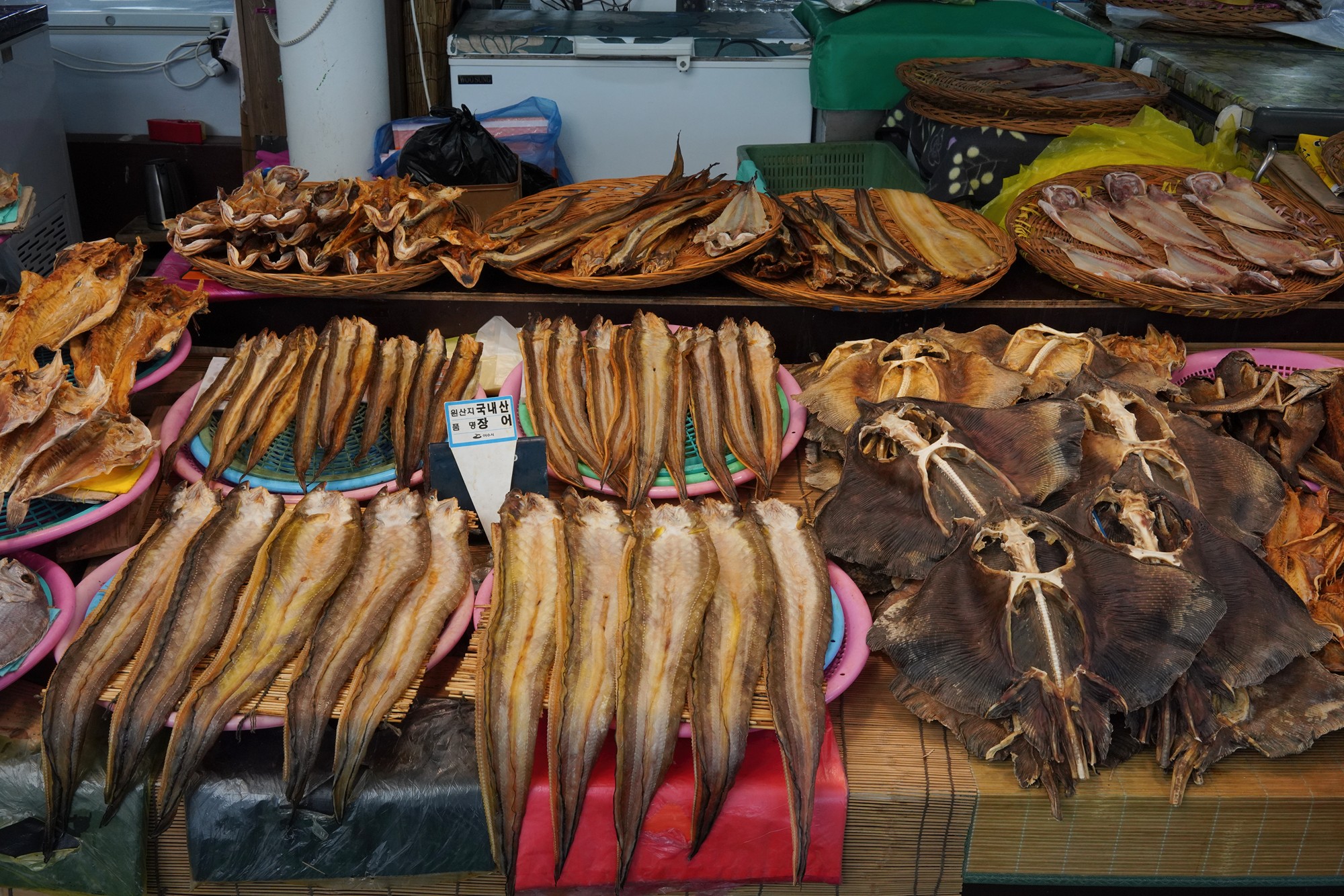 Yeosu 5 (21)