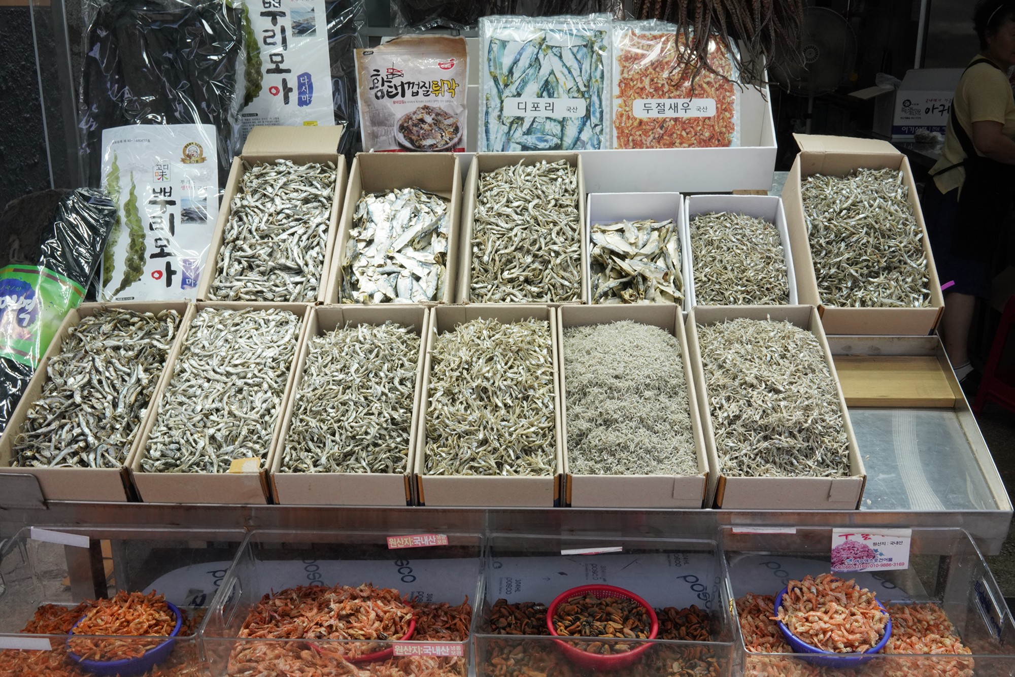Yeosu 5 (23)