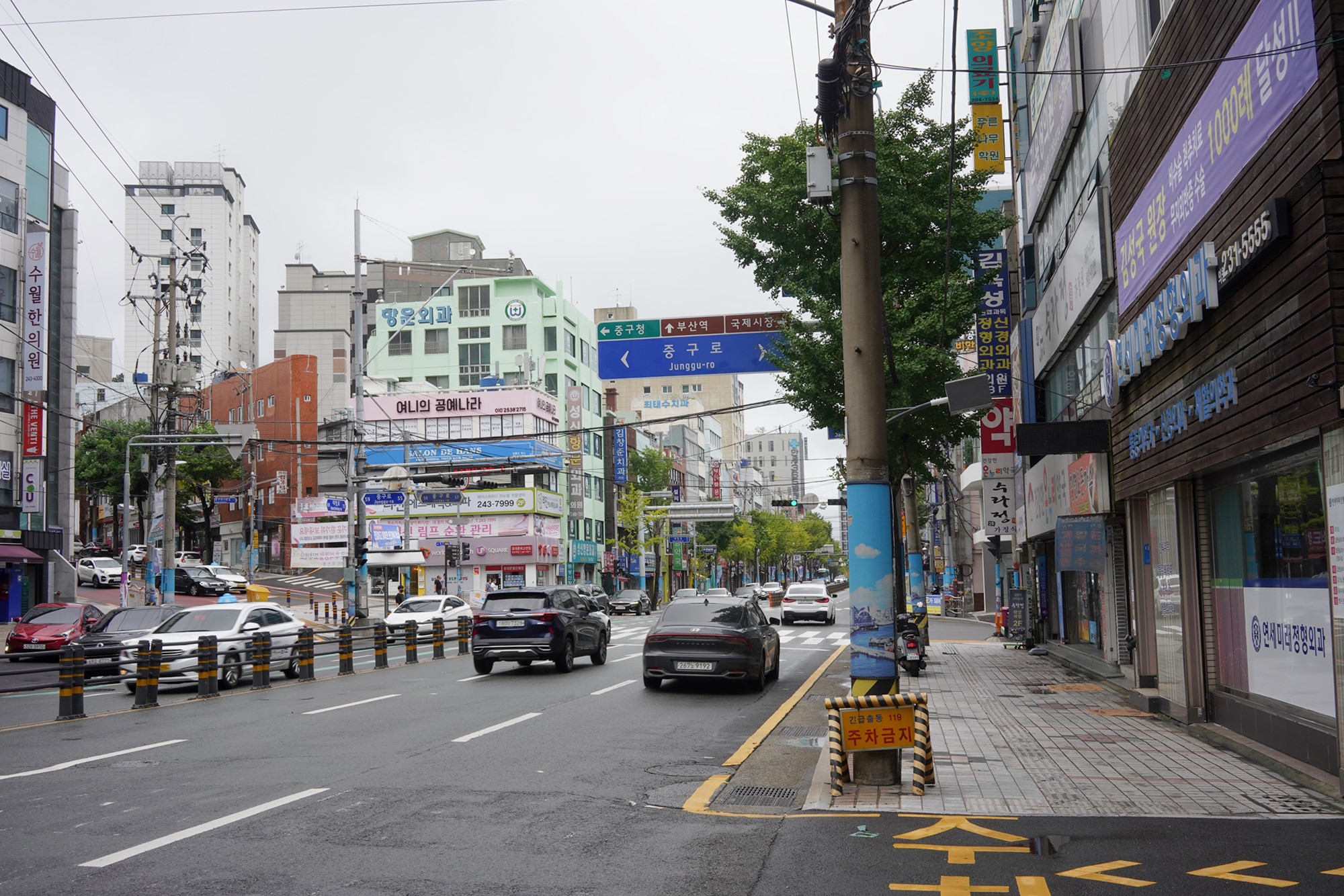 Busan 1 (17)
