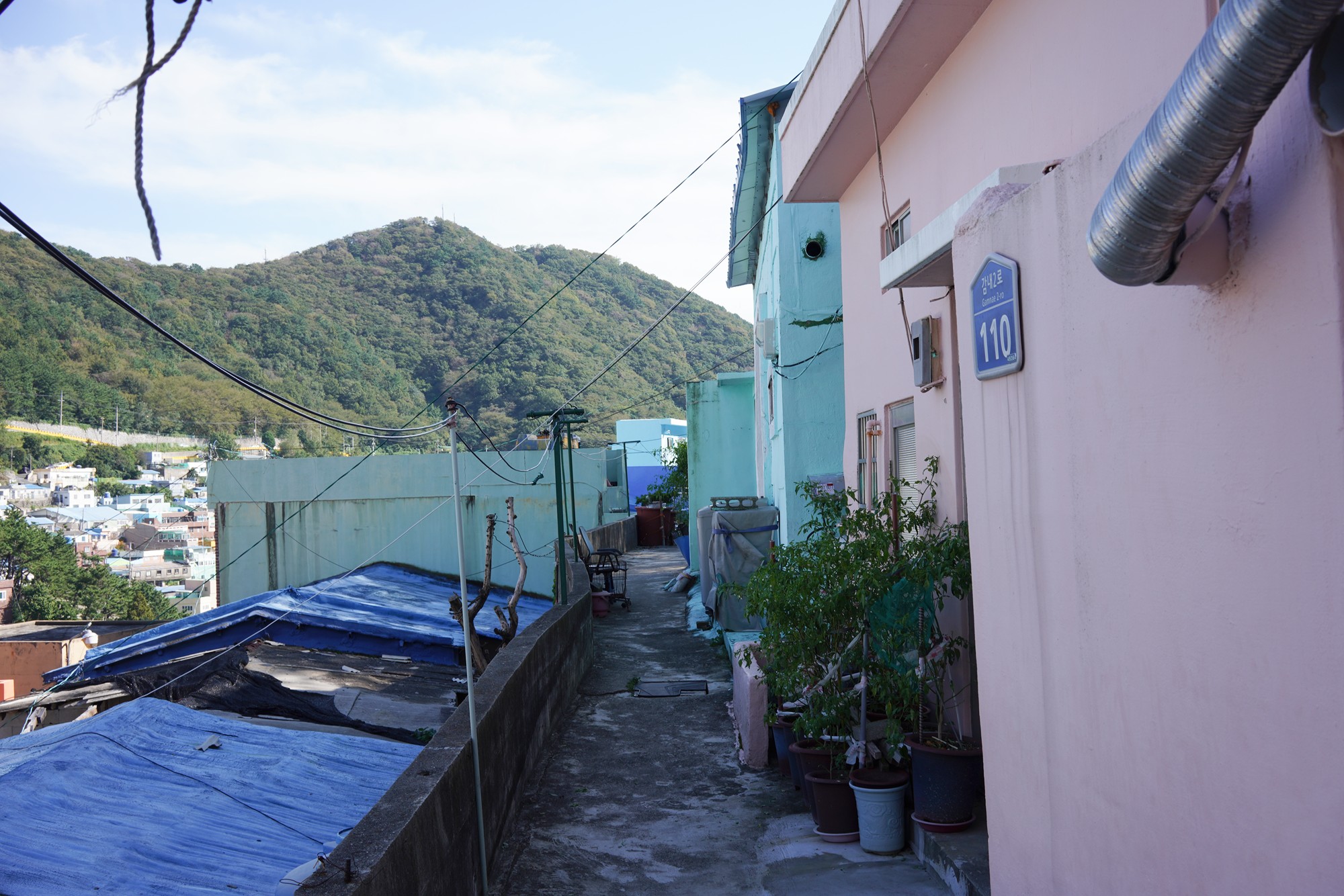 Busan 3 (13)