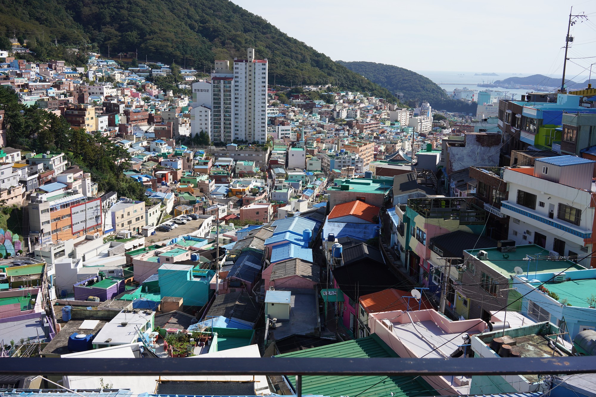 Busan 3 (16)