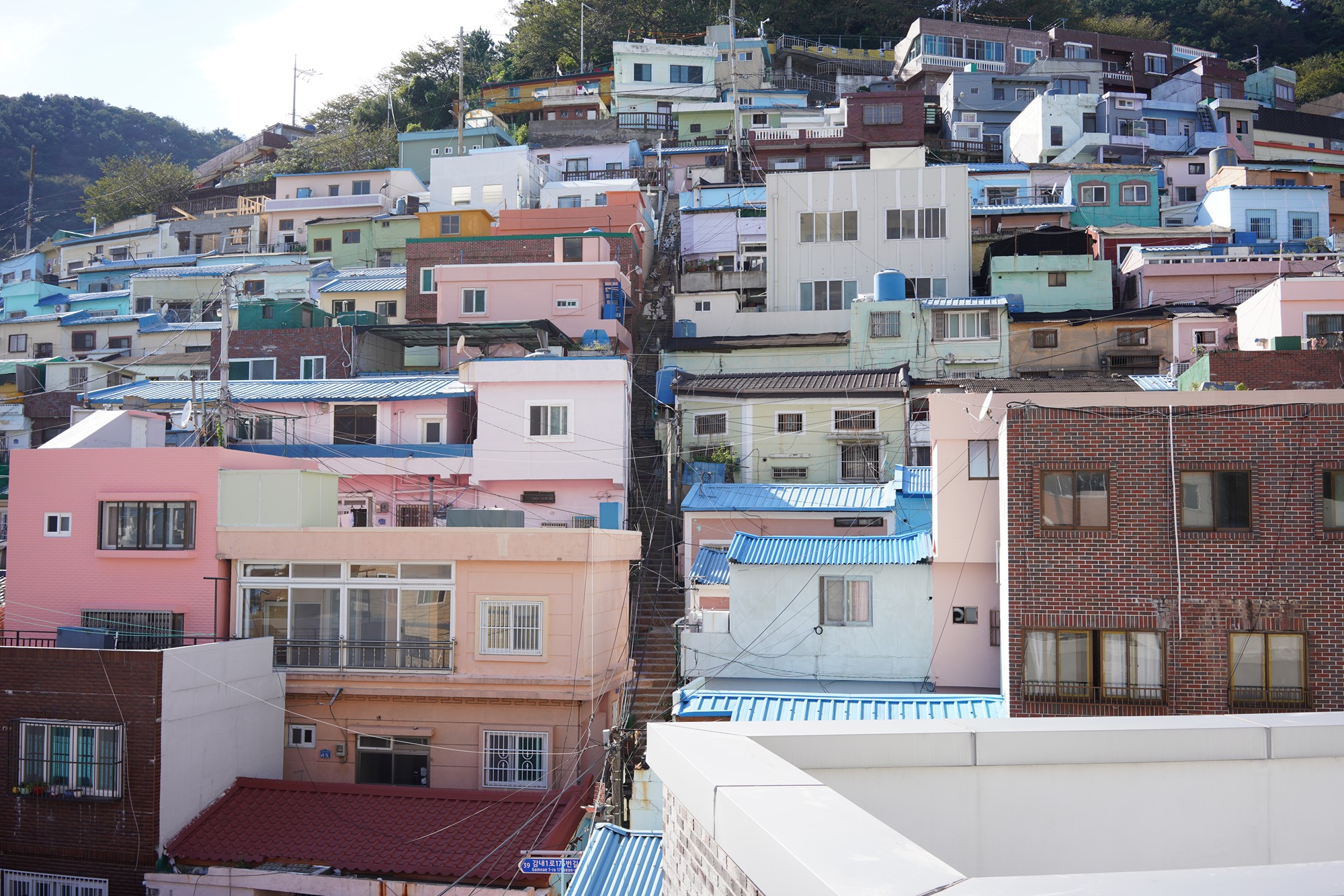 Busan 3 (22)
