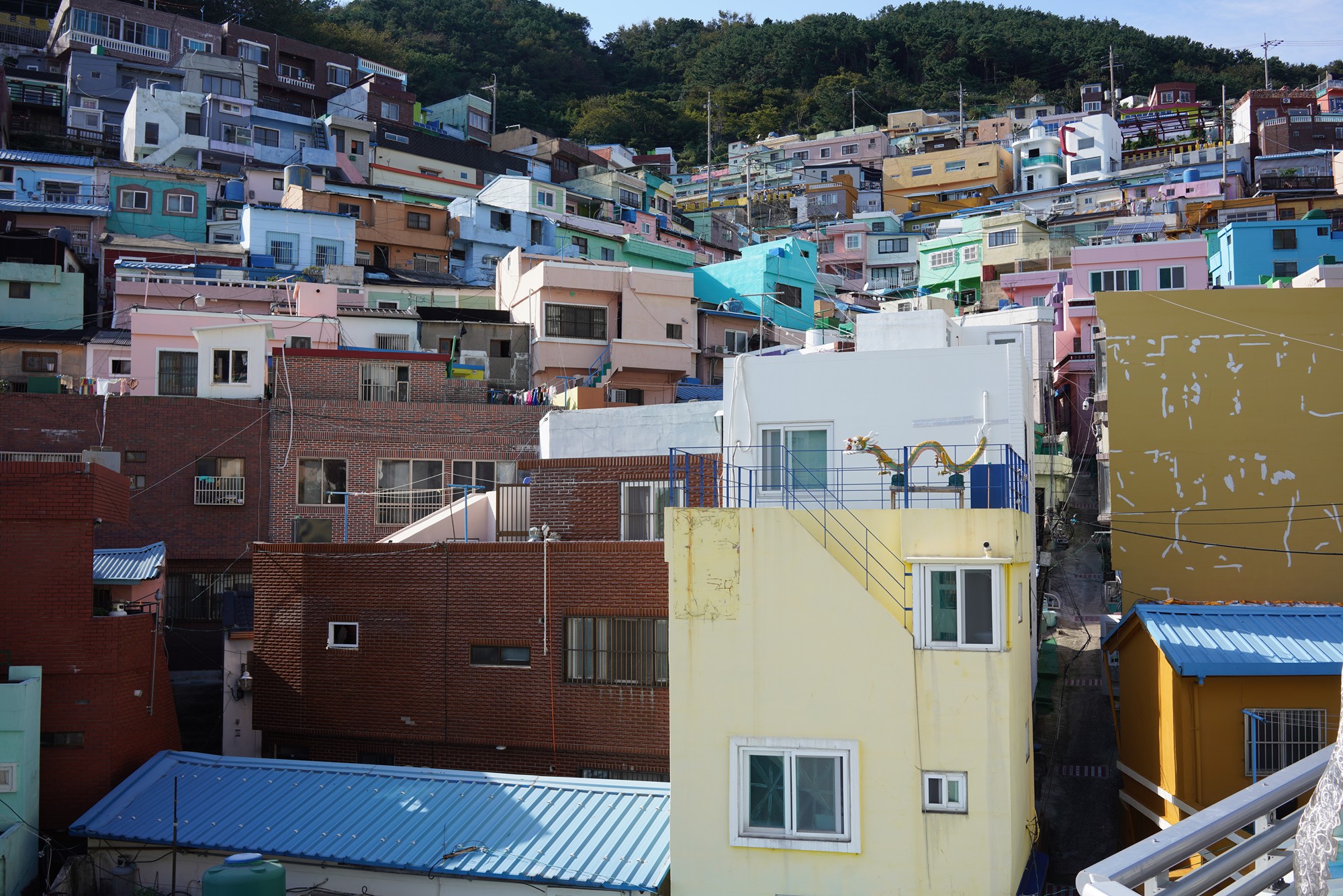 Busan 3 (23)