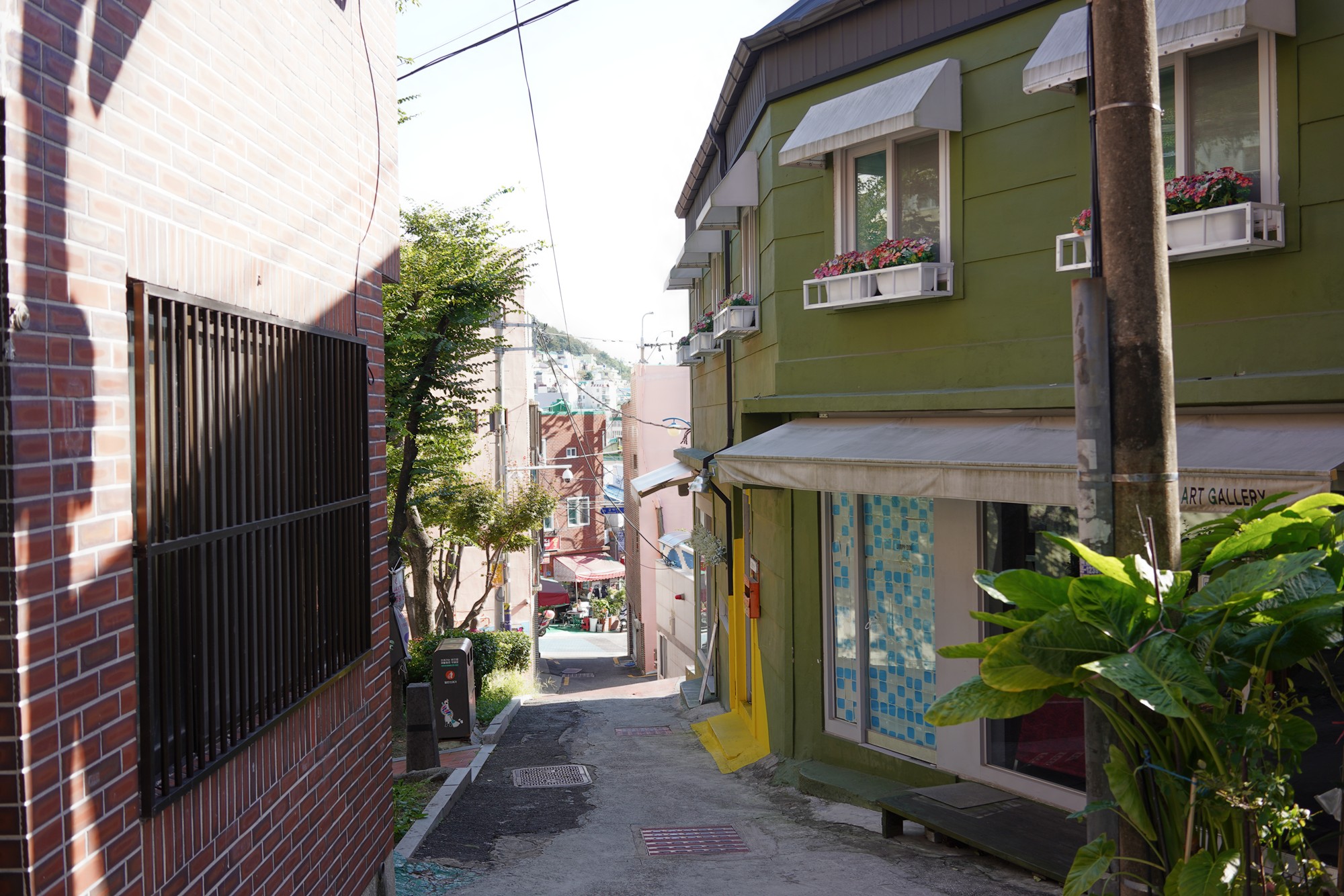 Busan 3 (26)