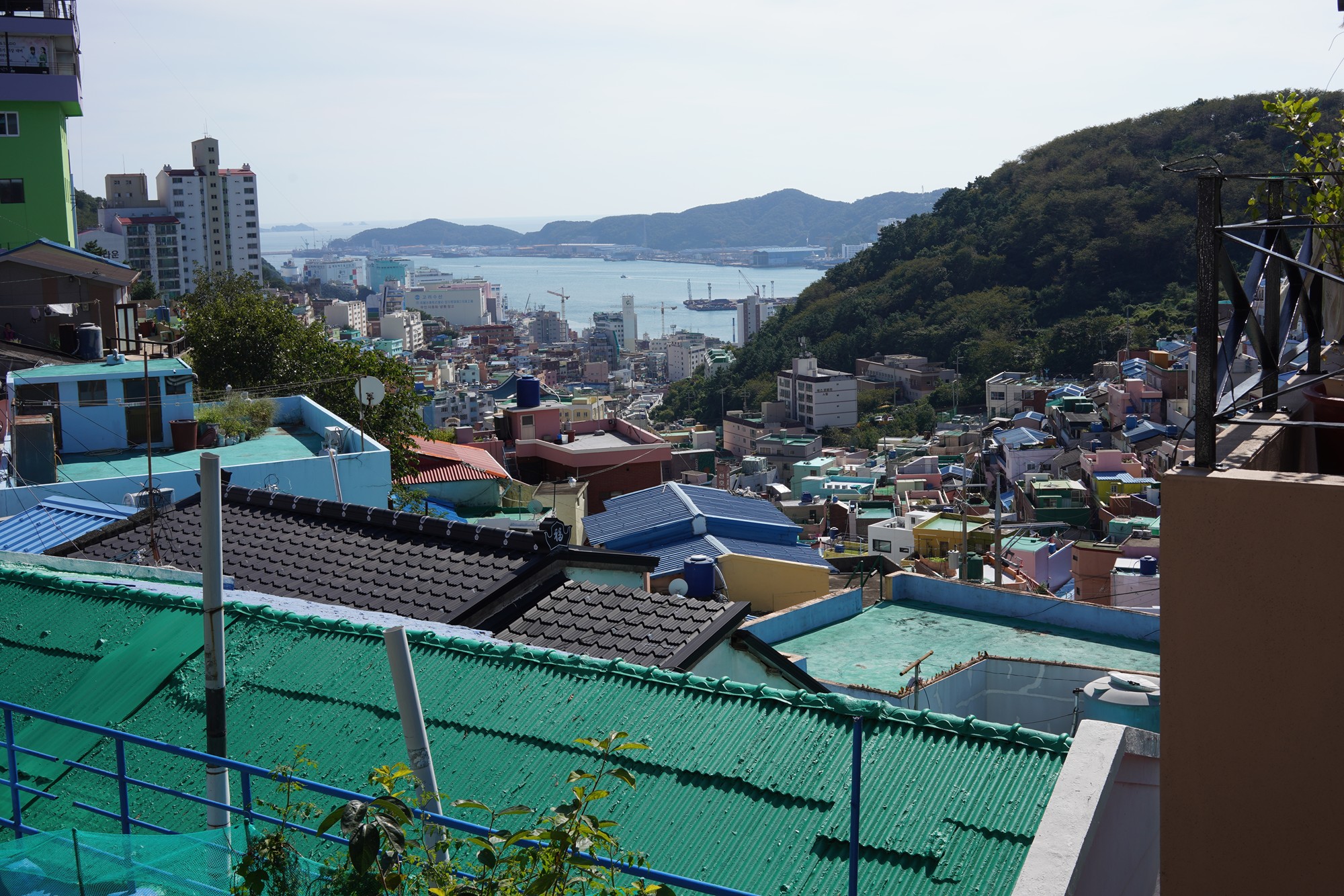 Busan 3 (7)