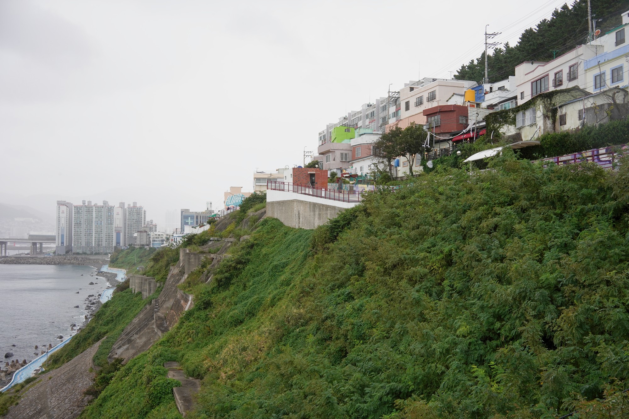 Busan 4 (11)