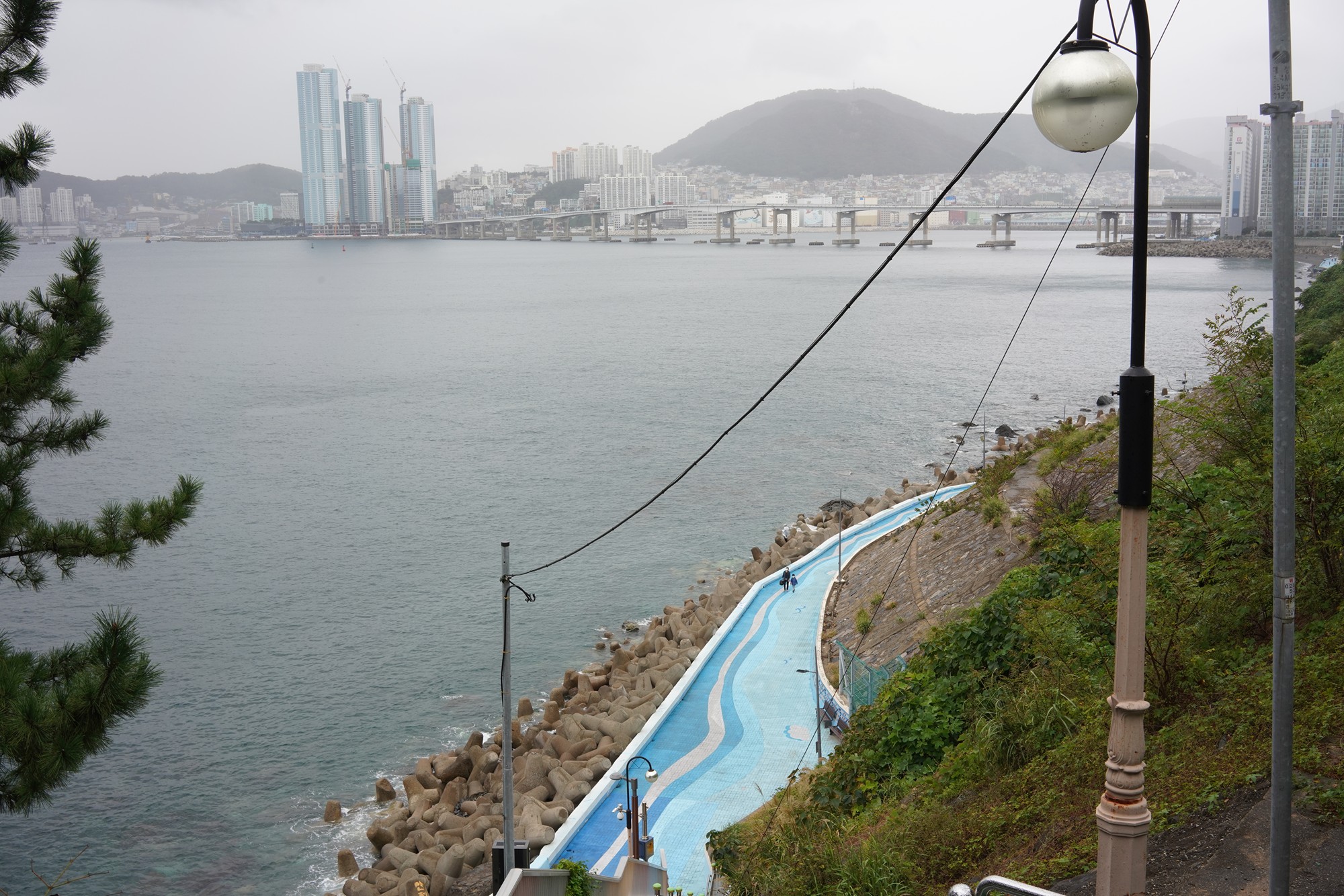 Busan 4 (12)