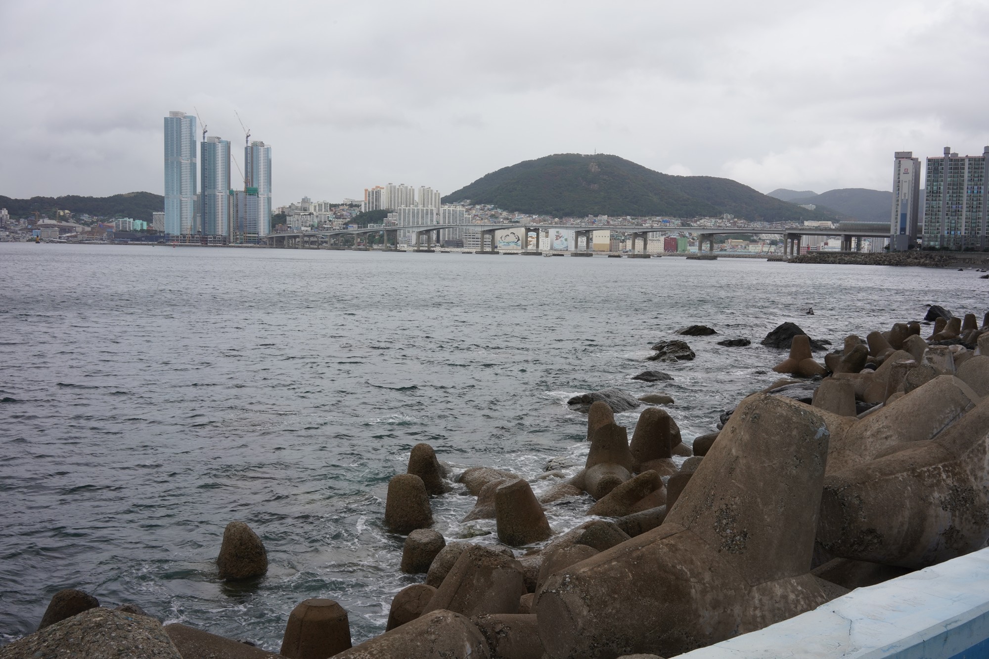 Busan 4 (16)