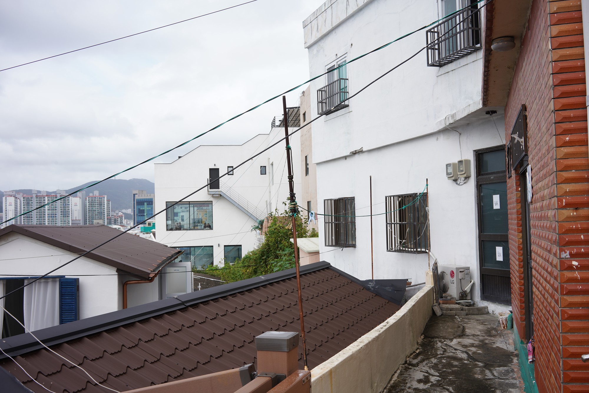 Busan 4 (25)