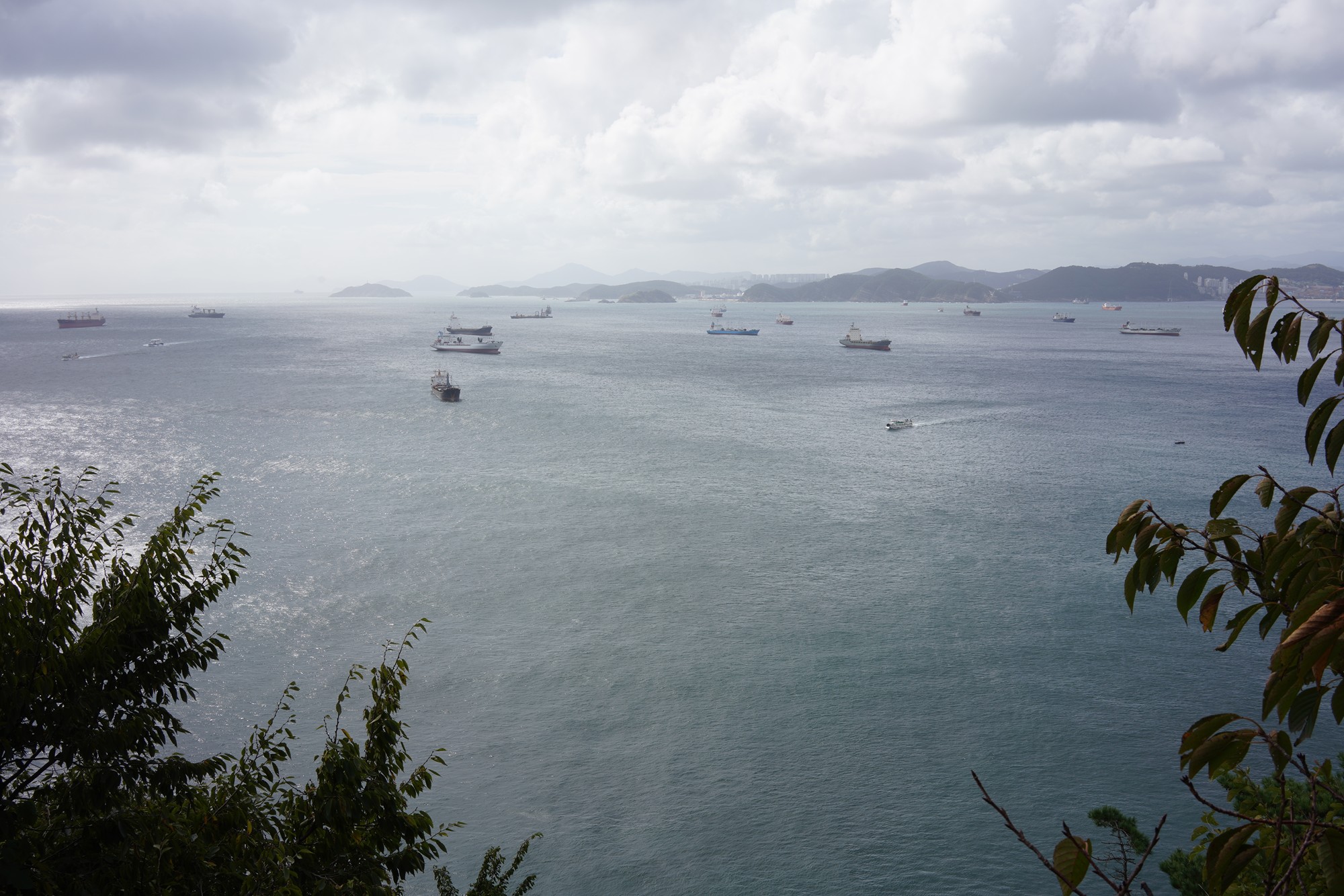 Busan 4 (31)