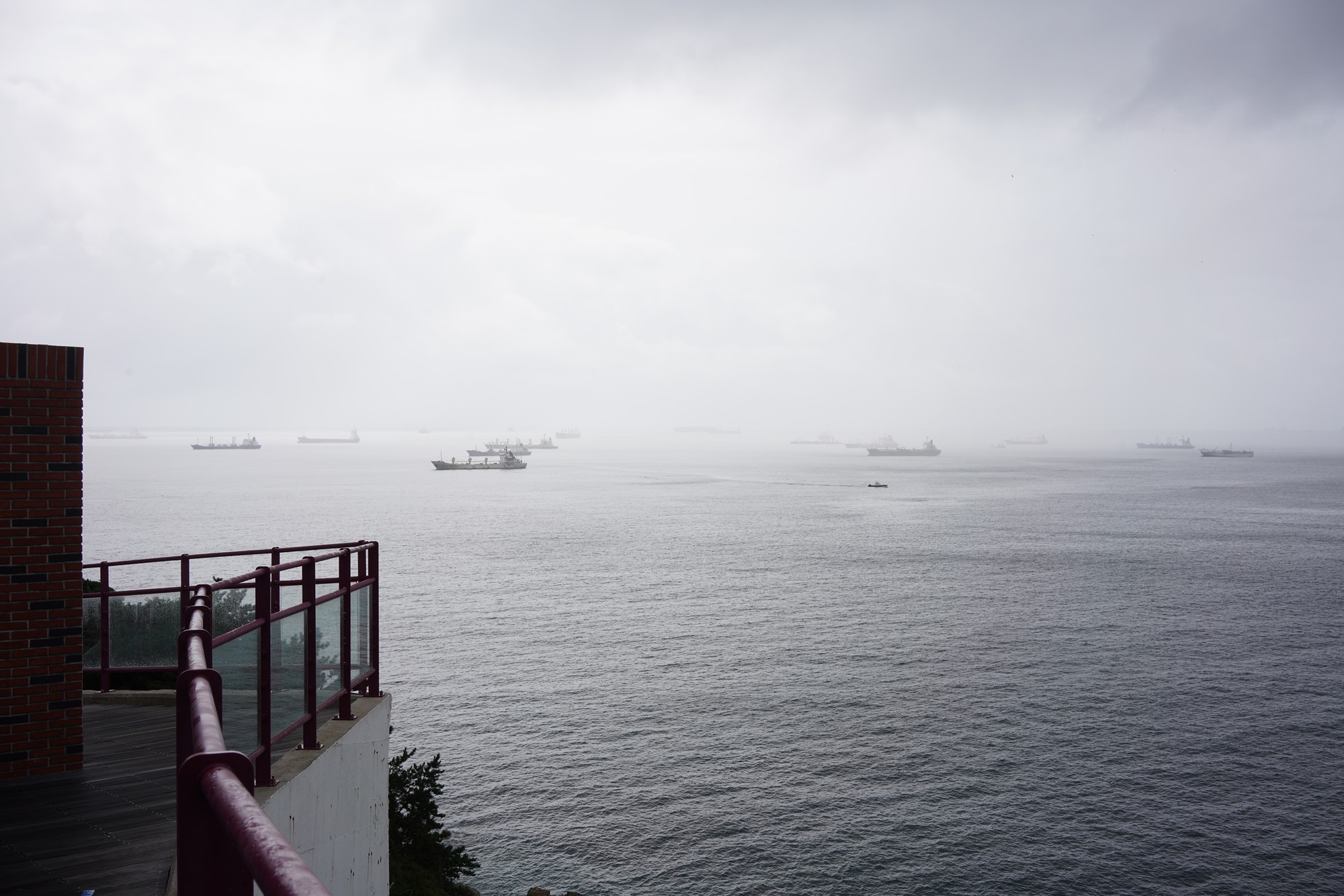 Busan 4 (5)