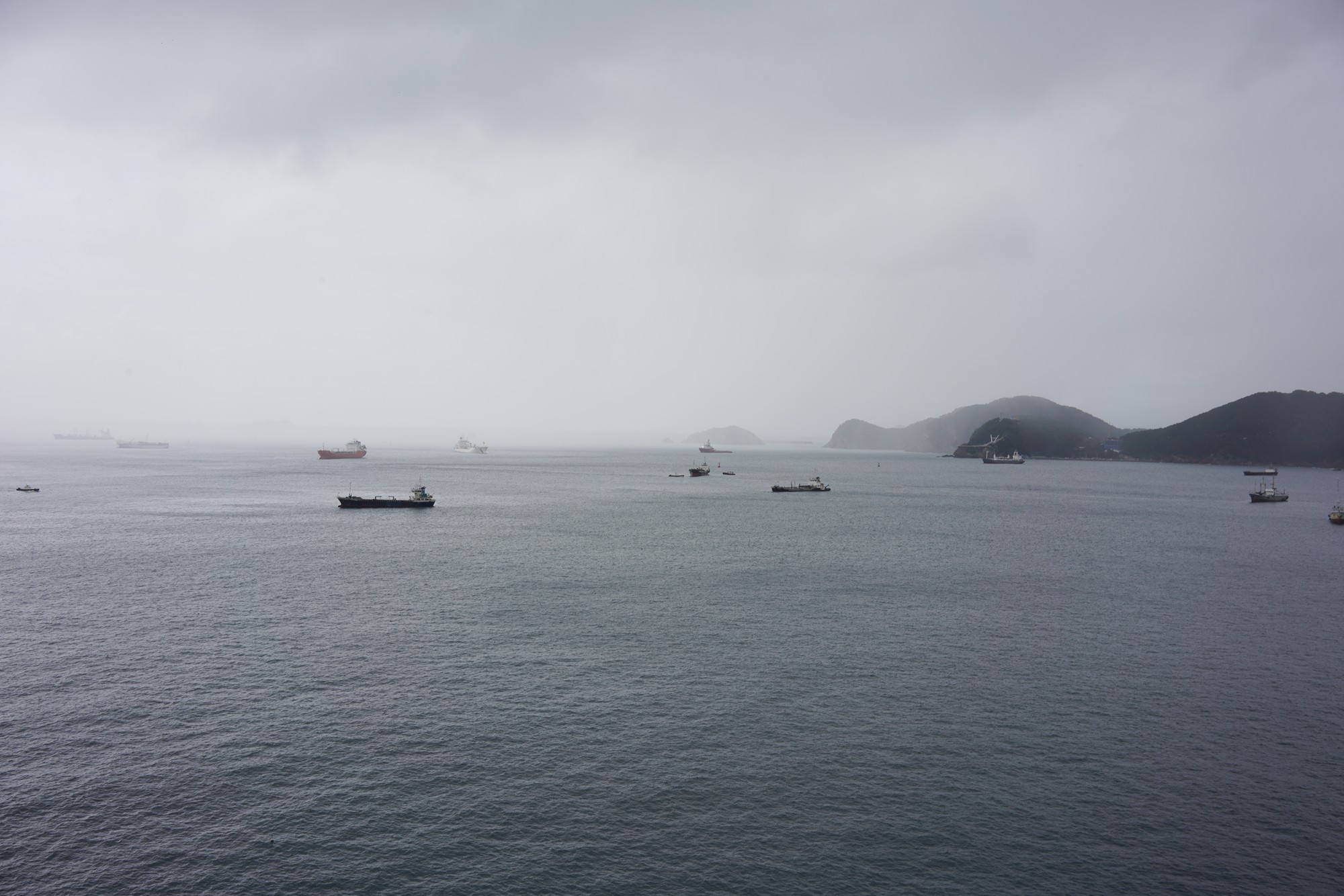 Busan 4 (6)