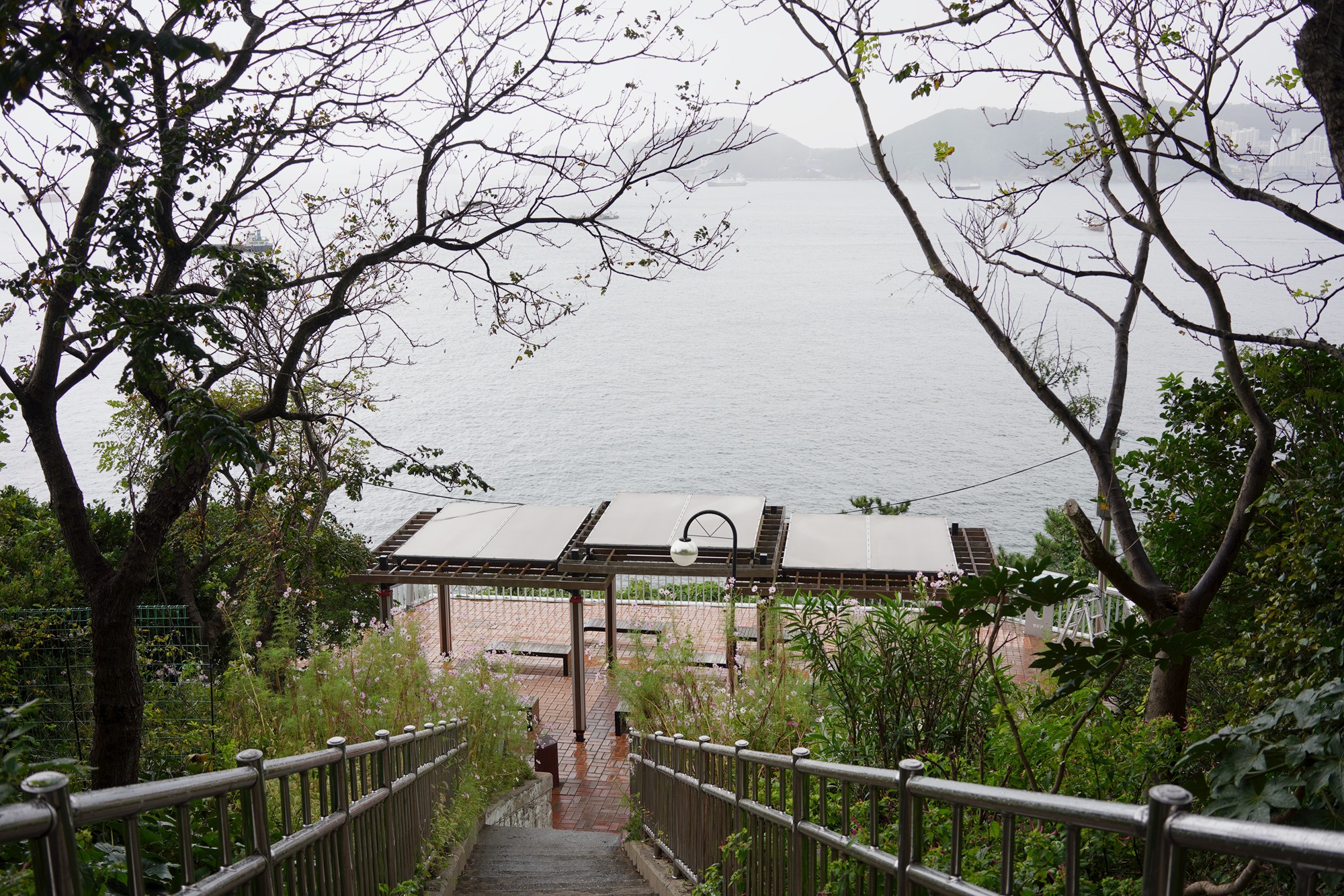 Busan 4 (9)