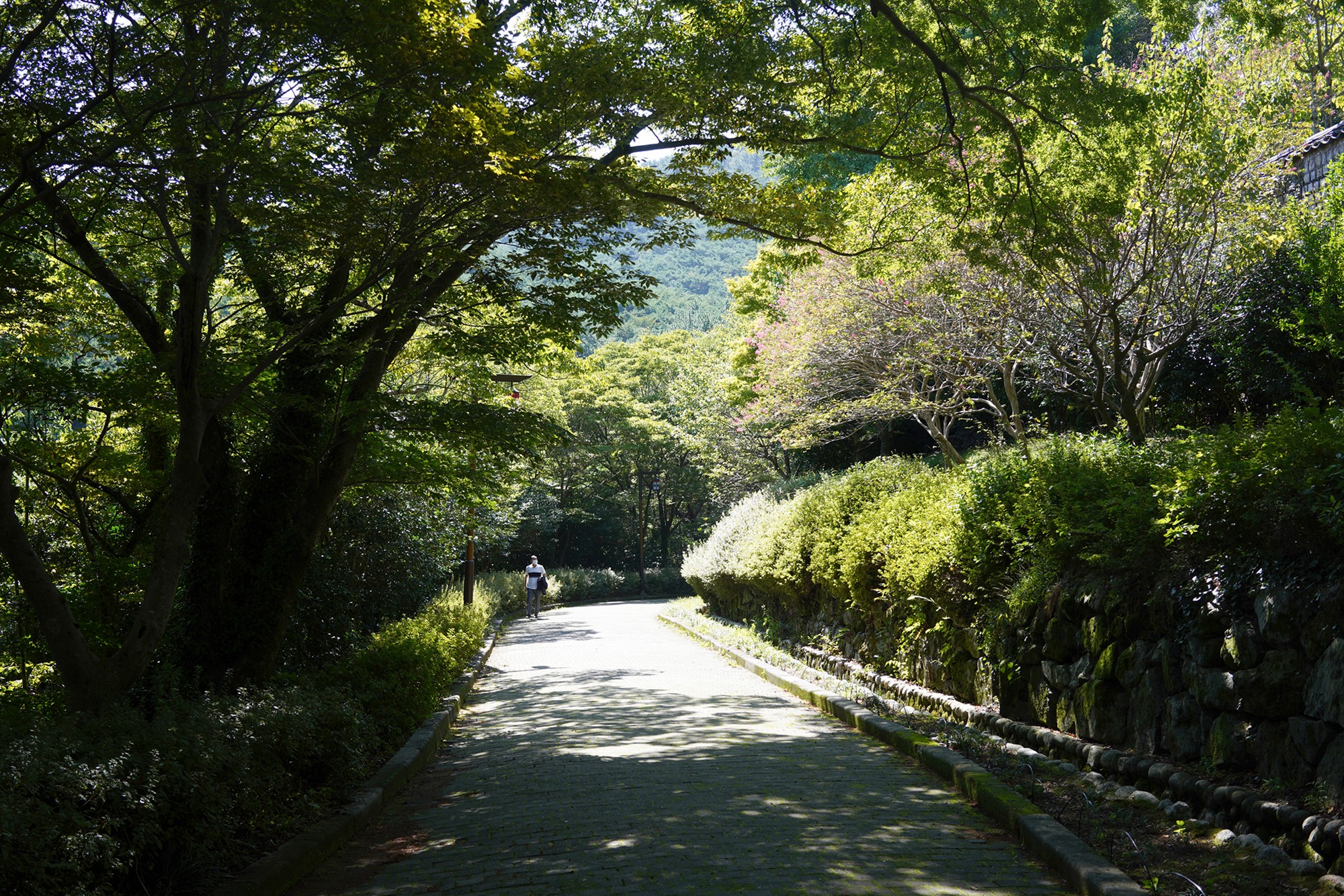 Tongyeong 10 (31)