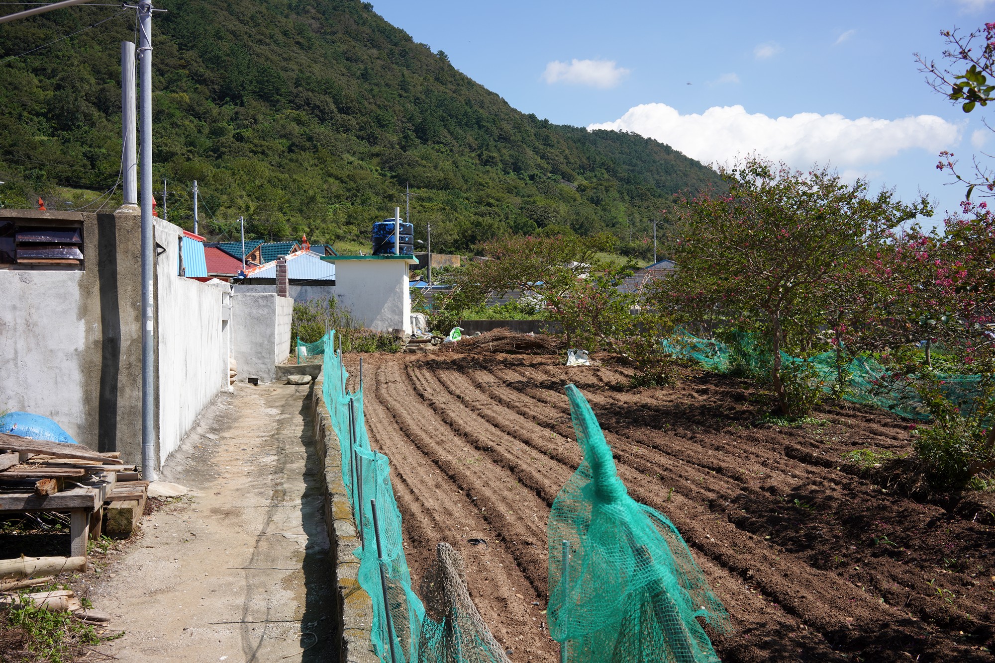 Tongyeong 10 (45)