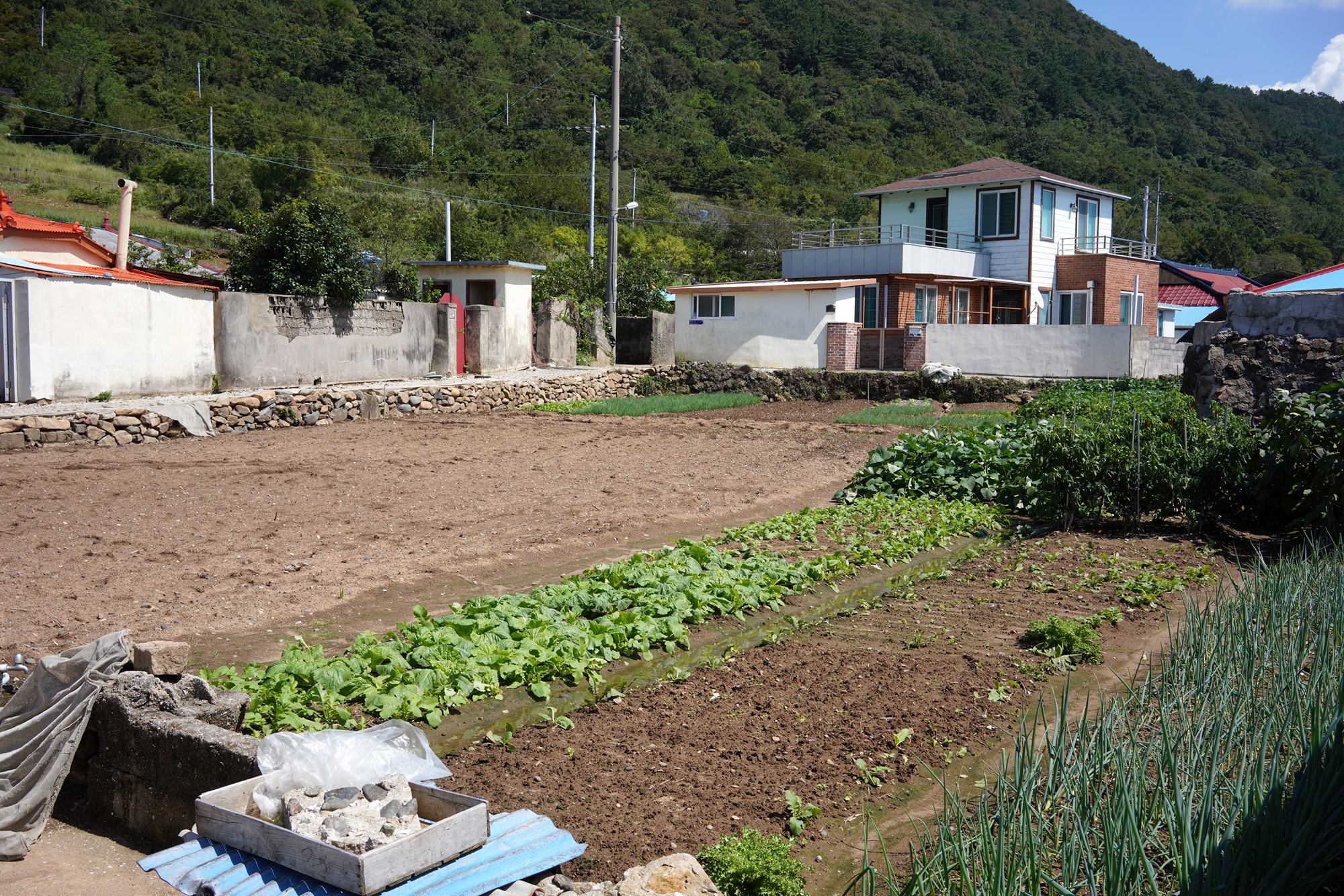 Tongyeong 10 (48)