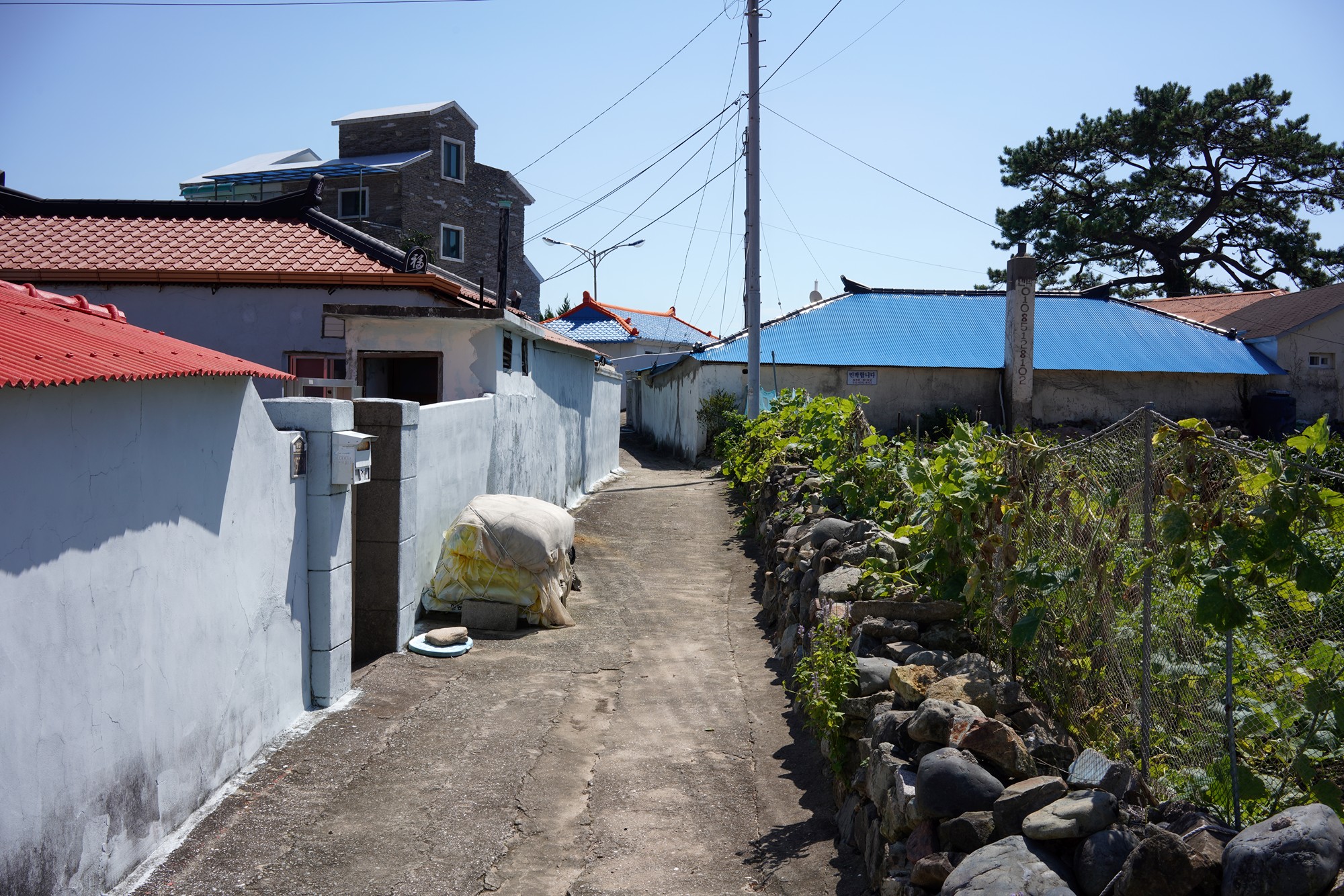 Tongyeong 10 (49)