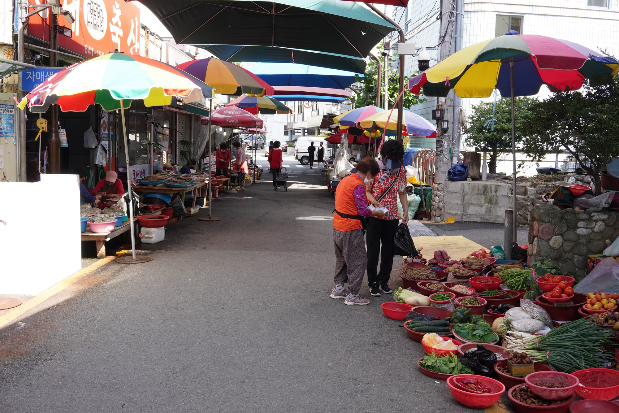 Tongyeong City (27)