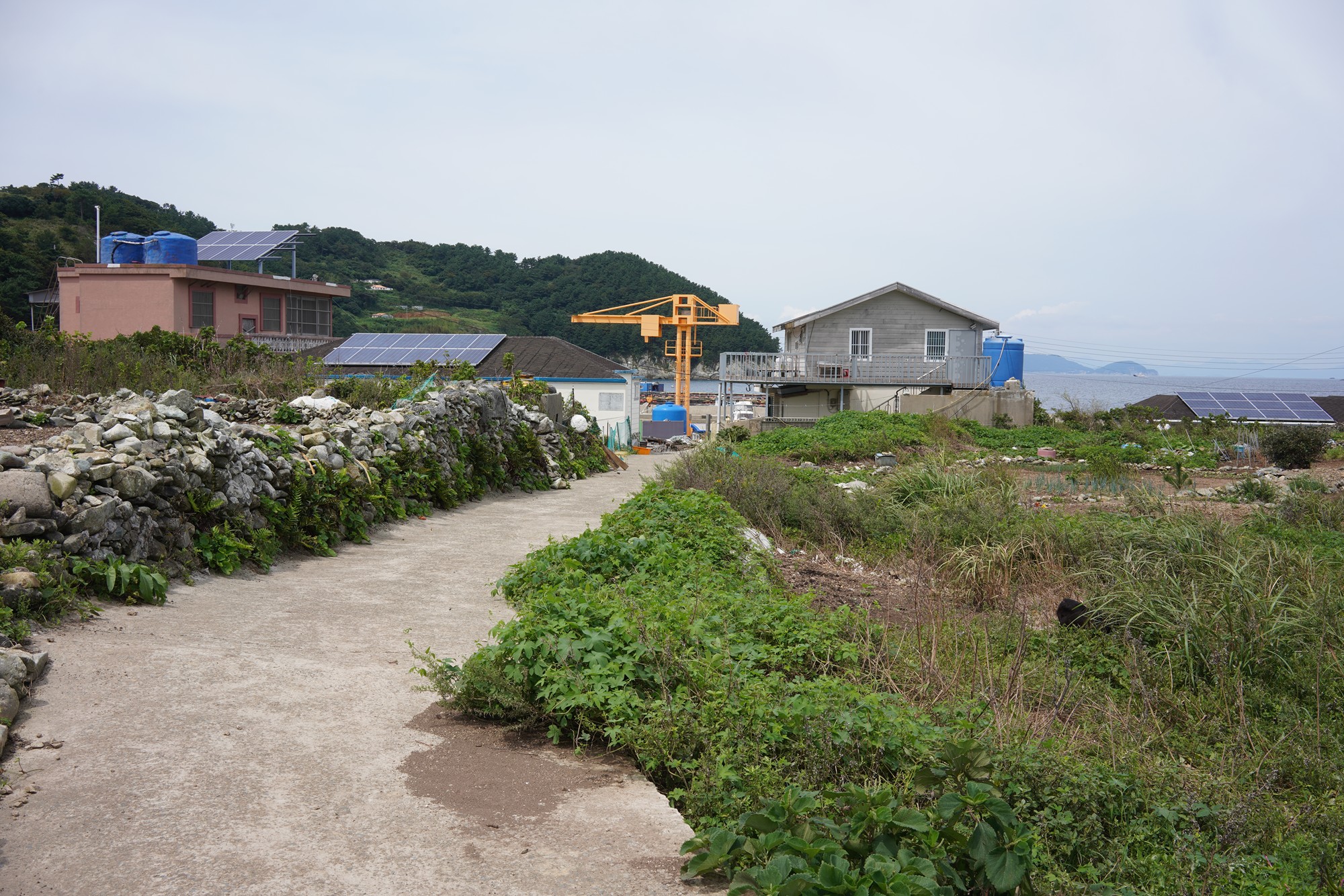 Tongyoung 6 (32)