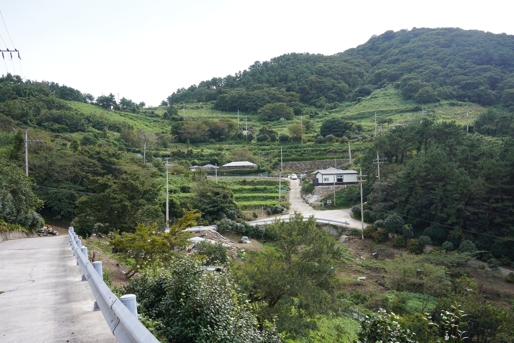 Tongyoung 6 (46)