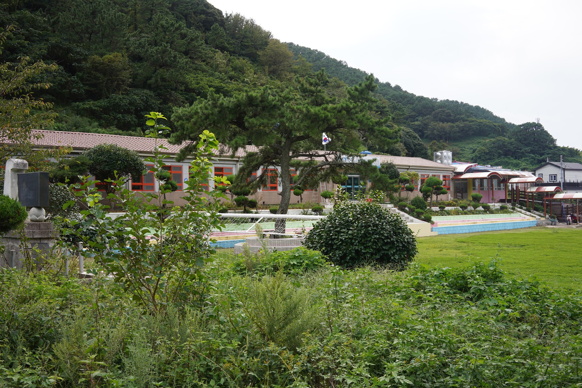 Tongyoung 6 (50)