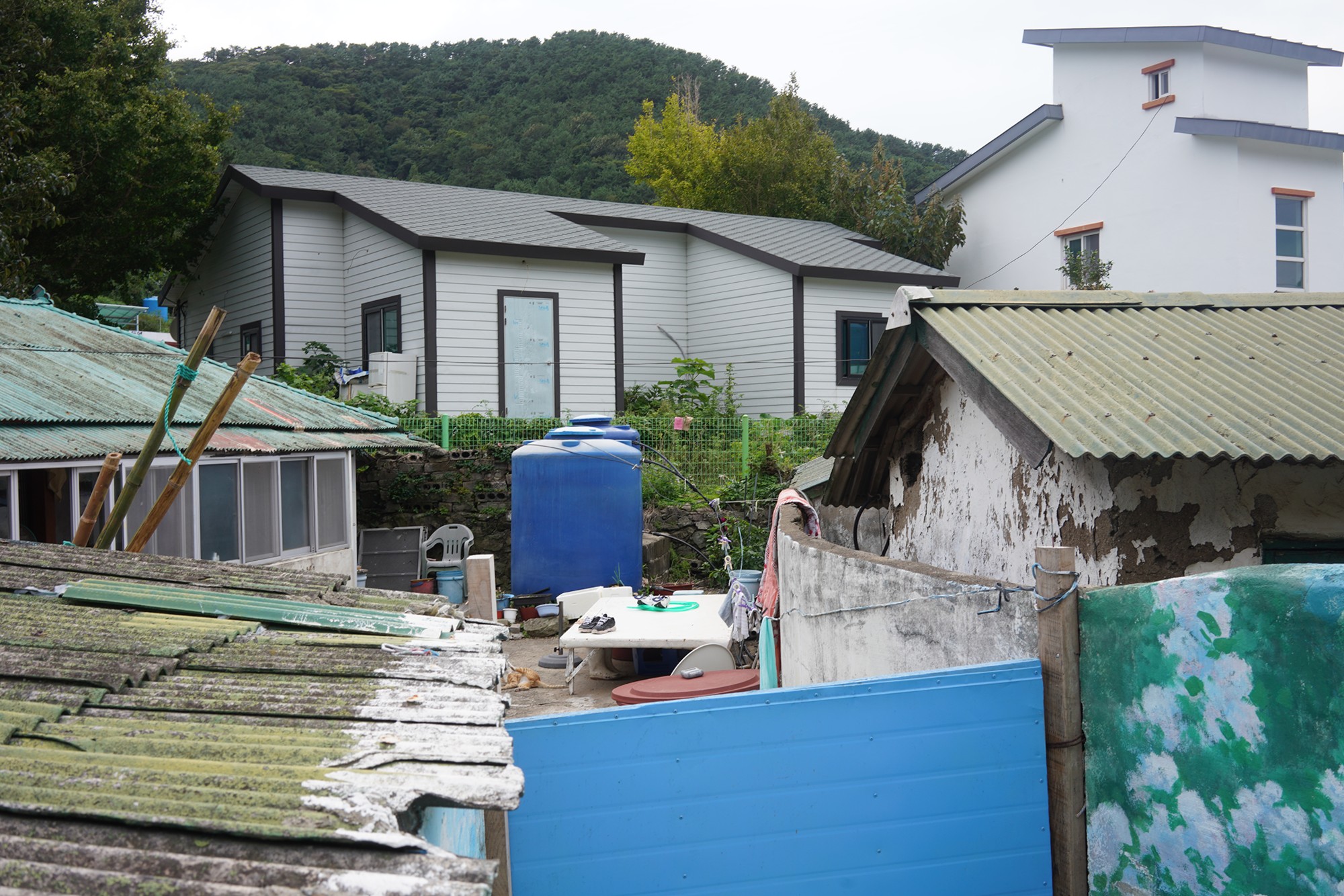 Tongyoung 6 (52)