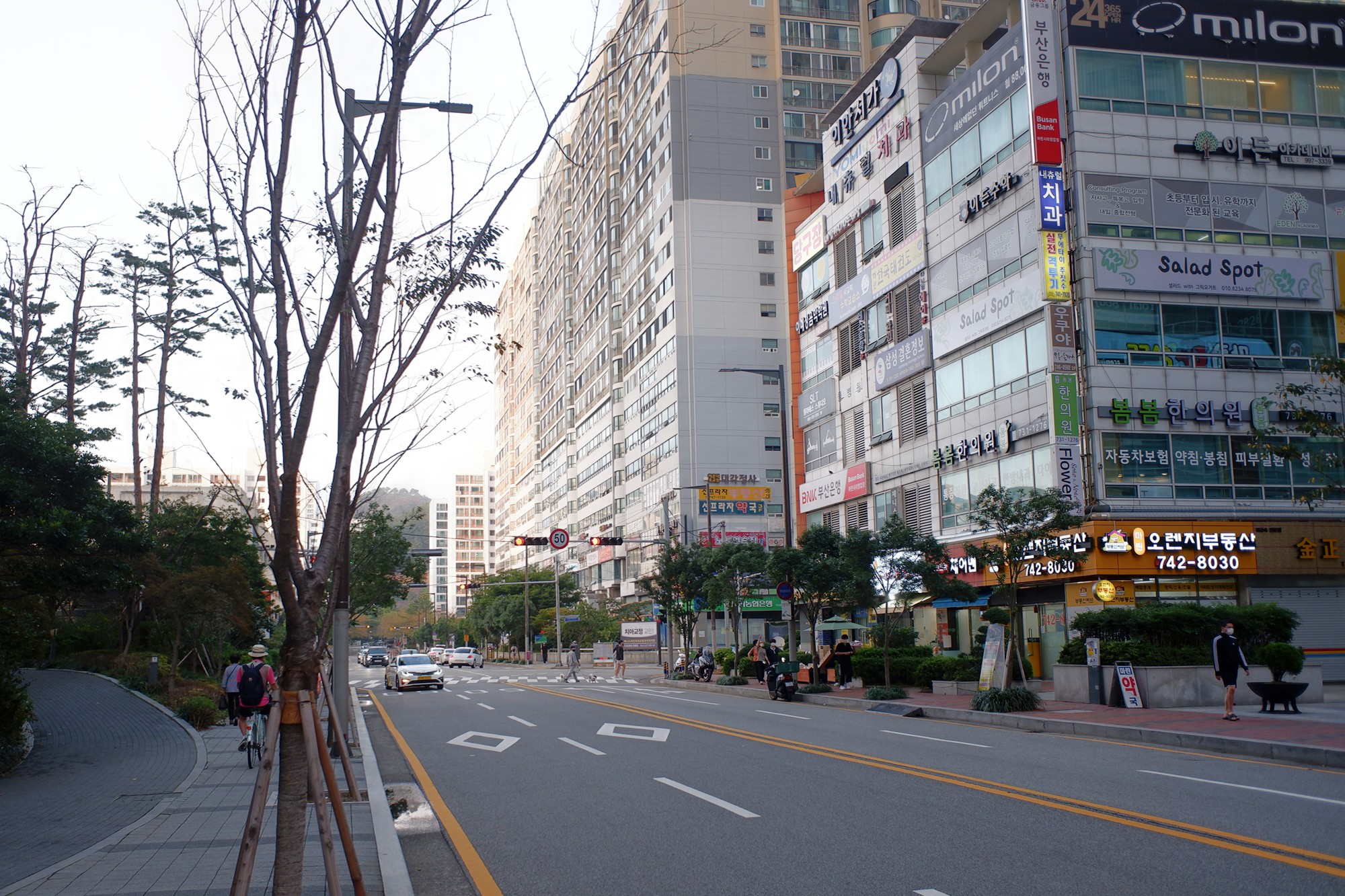 Busan 17 (15)